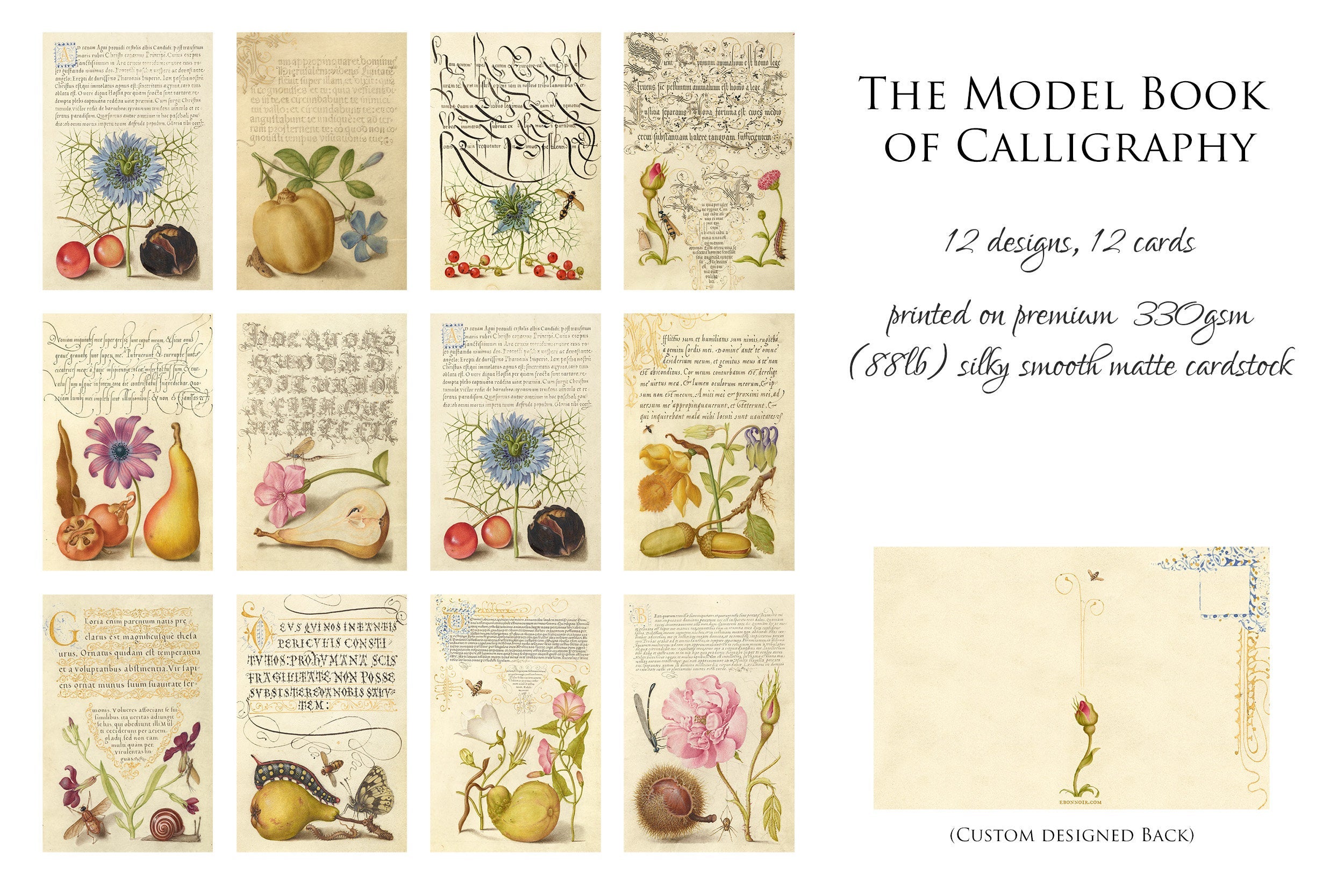 The Model Book of Calligraphy, Everyday Floral Postcards for Literature and Garden Lovers, 12 Designs, 12 Cards