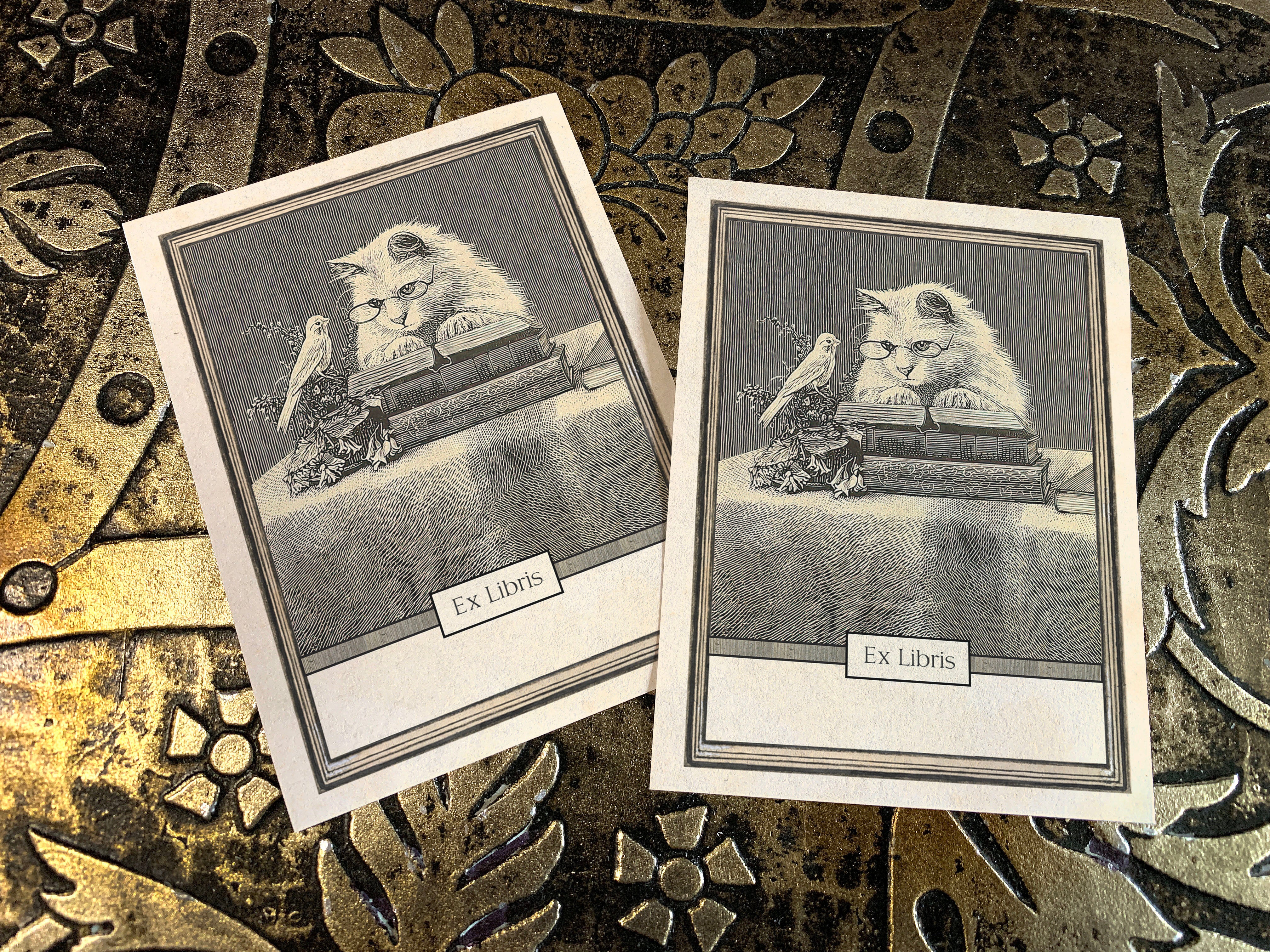 Wise Kitten, Personalized Ex-Libris Bookplates, Crafted on Traditional Gummed Paper, 3in x 4in, Set of 30