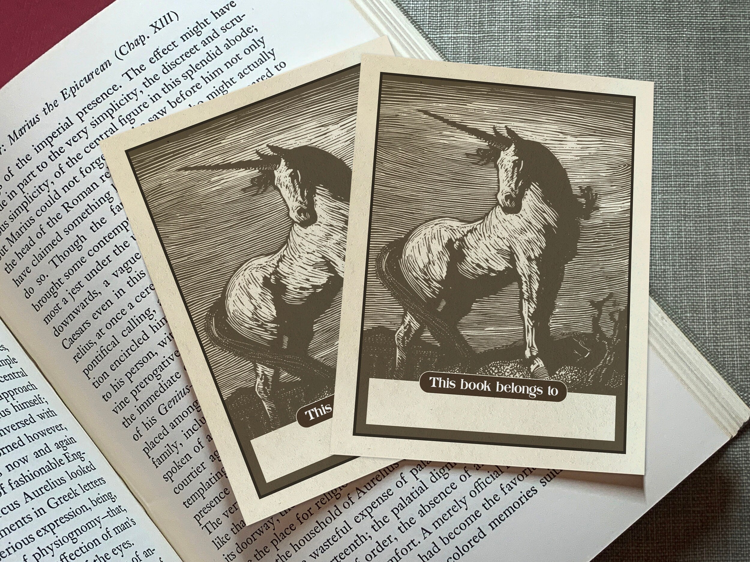 Unicorn by Lionel Lindsay, Personalized Ex-Libris Bookplates, Crafted on Traditional Gummed Paper, 3in x 4in, Set of 30