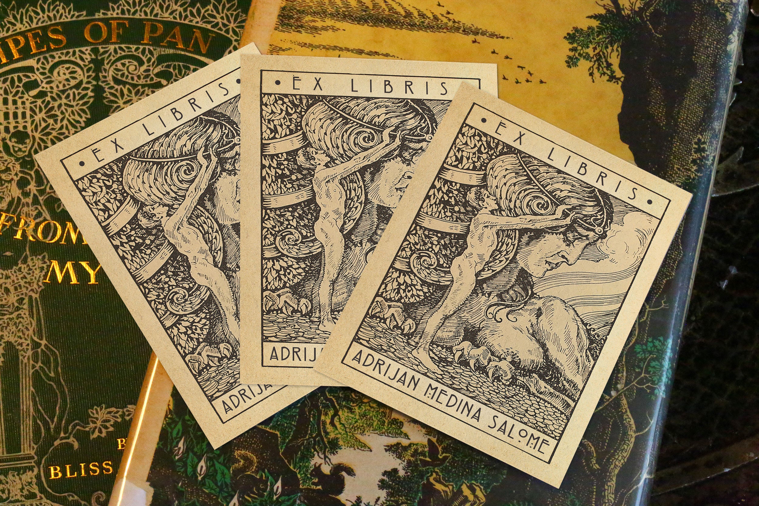 The Sphinx, Personalized Erotic Ex-Libris Bookplates, Crafted on Traditional Gummed Paper, 3in x 4in, Set of 30
