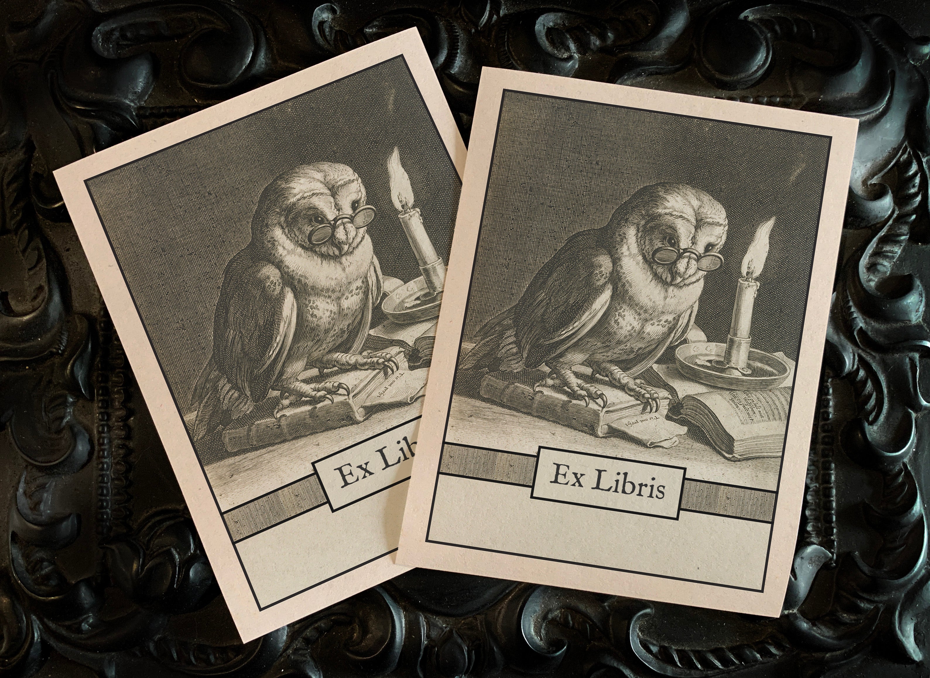 Wise Owl, Personalized Ex-Libris Bookplates, Crafted on Traditional Gummed Paper, 3in x 4in, Set of 30