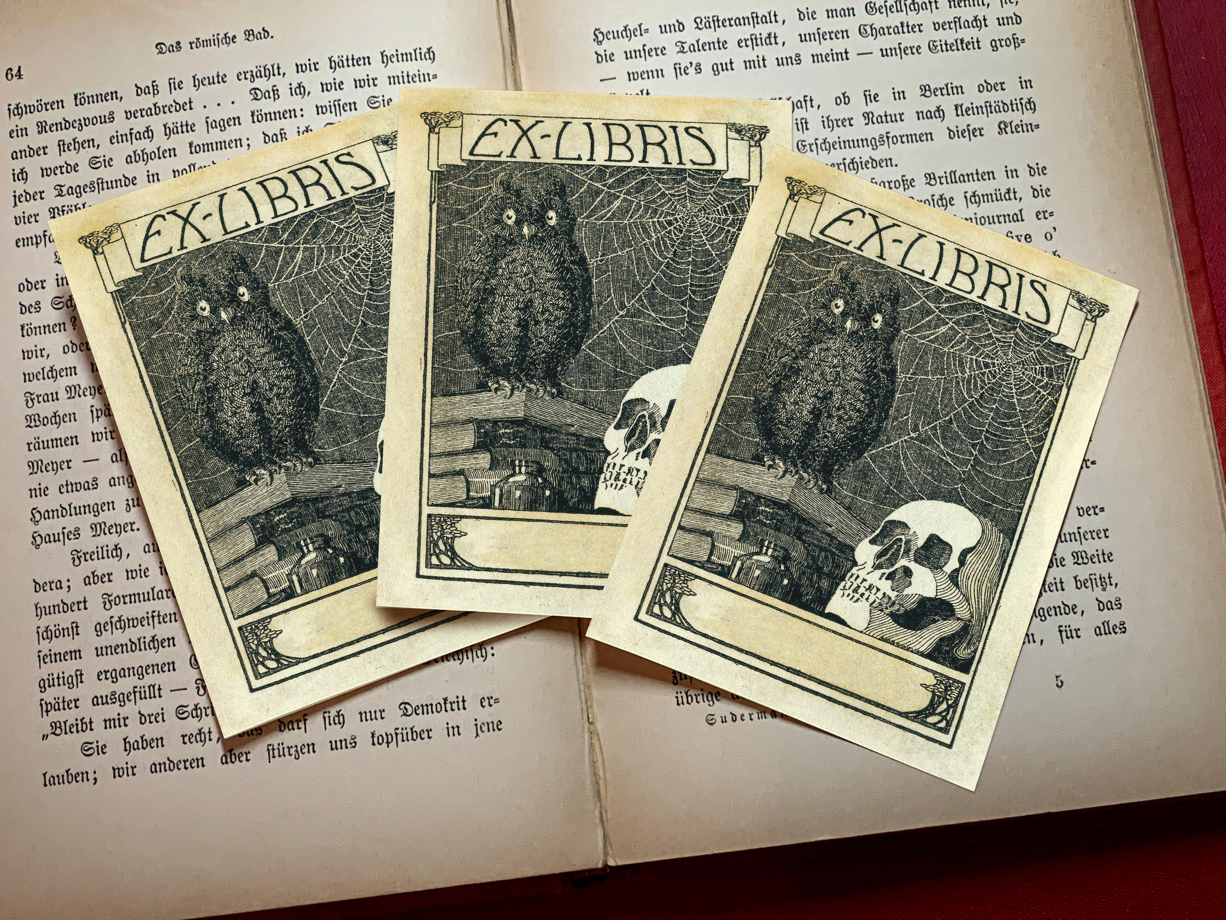 Skull and Owl, Personalized Gothic Ex-Libris Bookplates, Crafted on Traditional Gummed Paper, 3in x 4in, Set of 30
