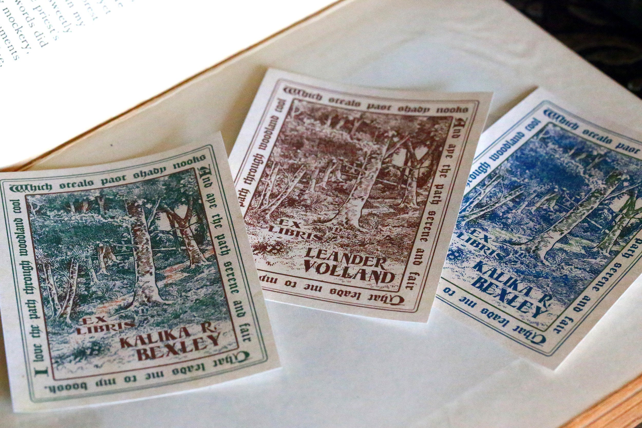 Woodland Path, Personalized Ex-Libris Bookplates, Crafted on Traditional Gummed Paper, 3in x 4in, Set of 30