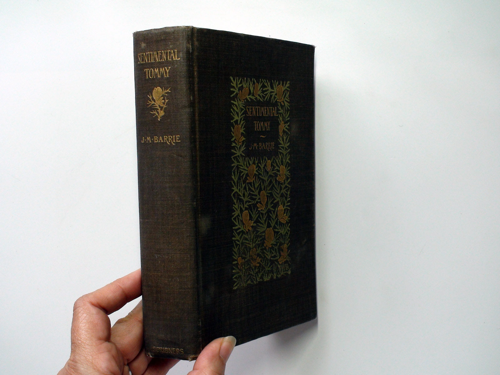 Sentimental Tommy, The Story of His Boyhood, by J. M. Barrie, Illustrated, 1896