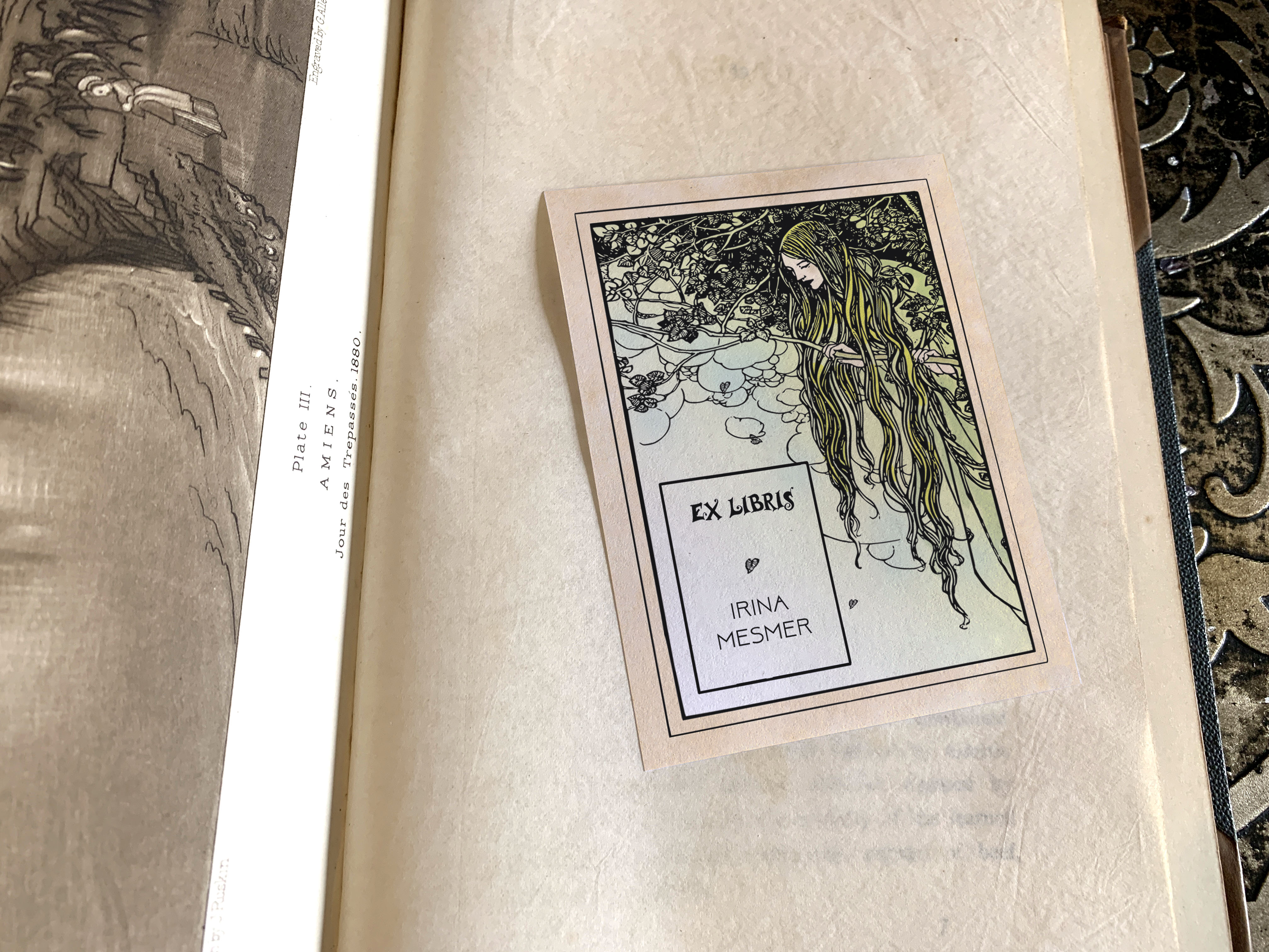 Curious Dryad, Personalized Ex-Libris Bookplates, Crafted on Traditional Gummed Paper, 3in x 4in, Set of 30