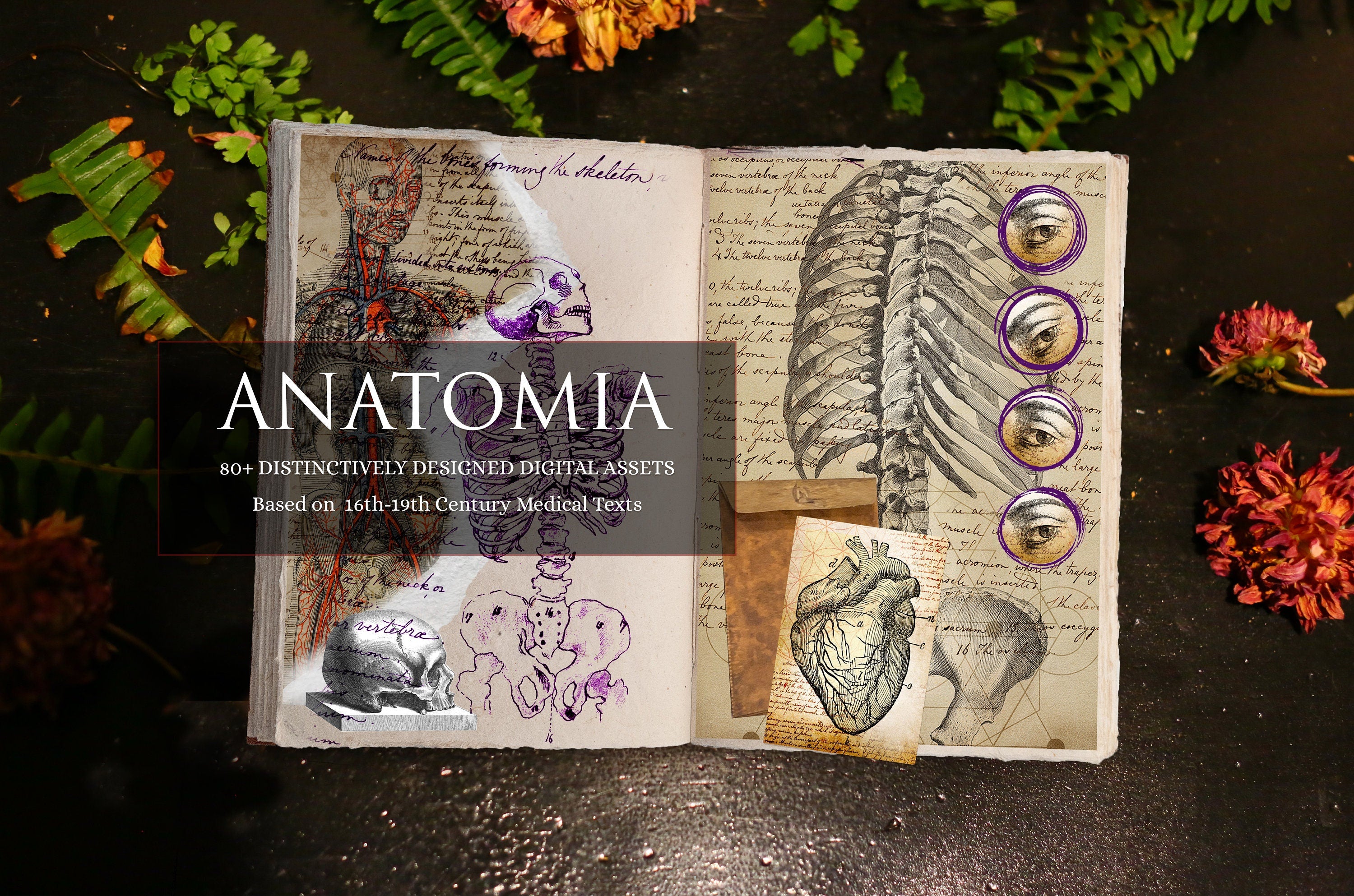 ANATOMIA, Anatomical Crafting Kit Based on Ancient Medical Texts, Book of Shadows (BOS), Scrapbook, Collage, Junk Journal, Digital Download