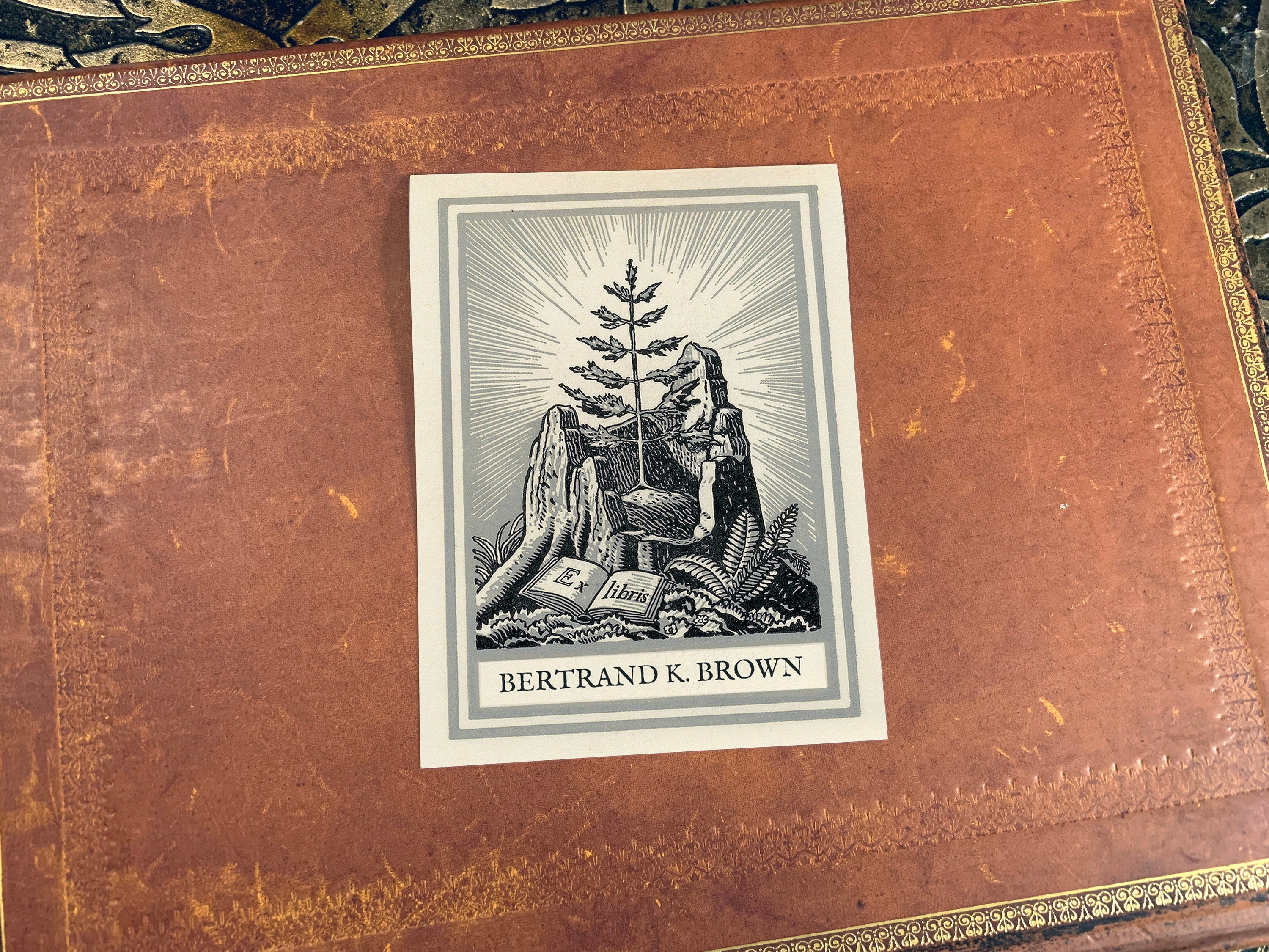 Sapling by Rockwell Kent, Personalized Ex-Libris Bookplates, Crafted on Traditional Gummed Paper, 3in x 4in, Set of 30