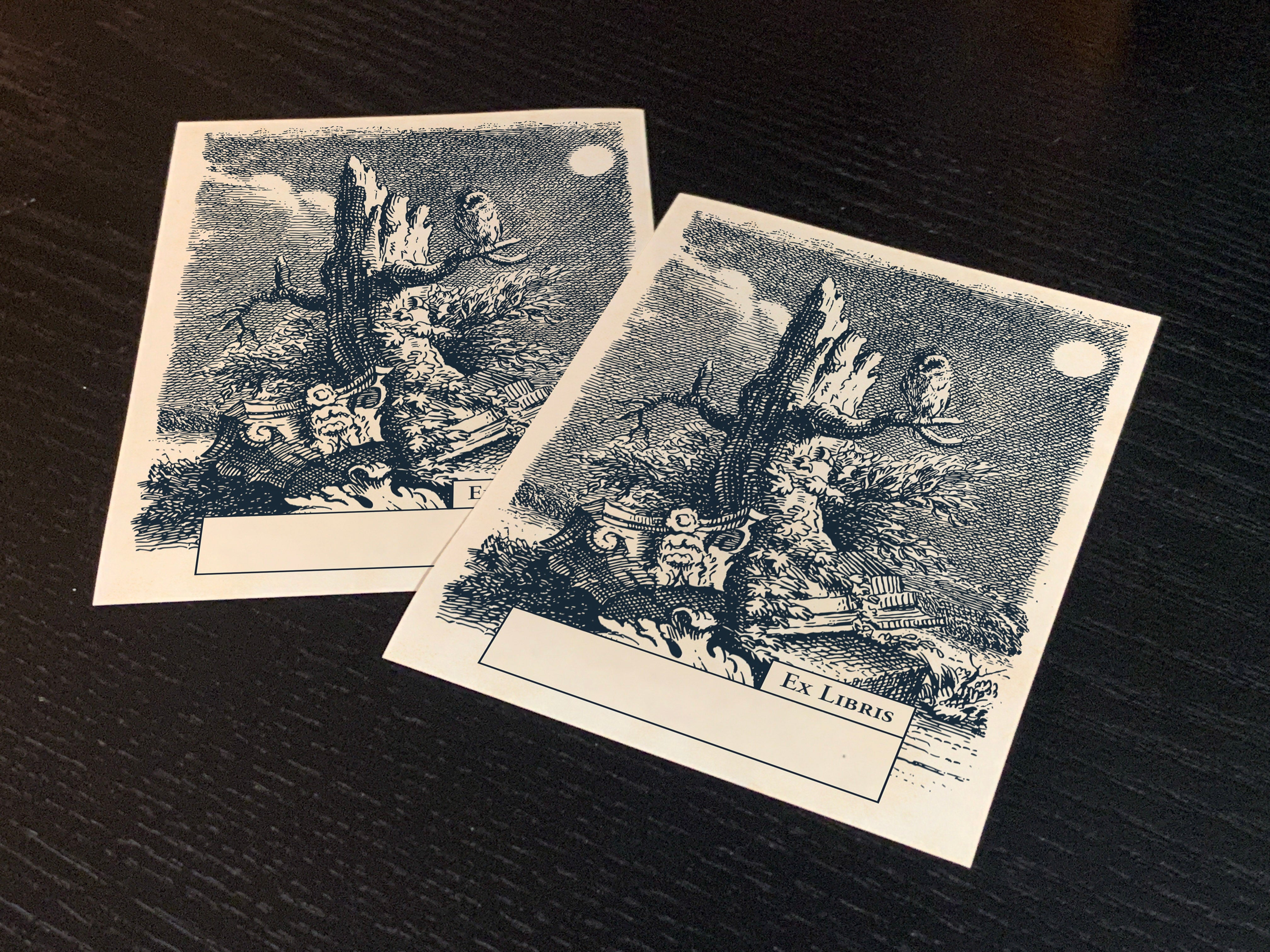Moonlit Owl, Personalized Ex-Libris Bookplates, Crafted on Traditional Gummed Paper, 3in x 4in, Set of 30