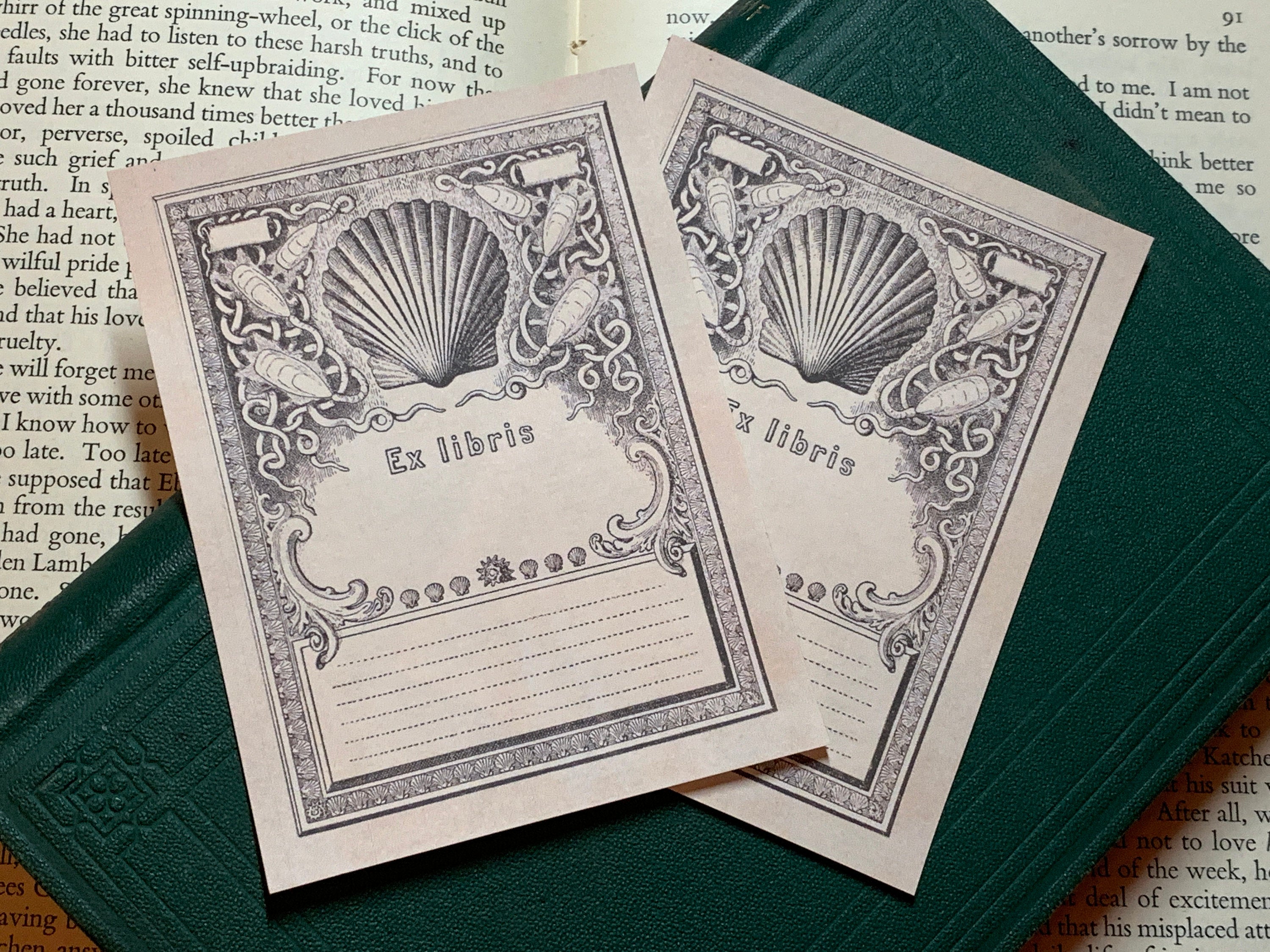 Seashells, Ex-Libris Bookplates, Crafted on Traditional Gummed Paper, 3in x 4in, Set of 30