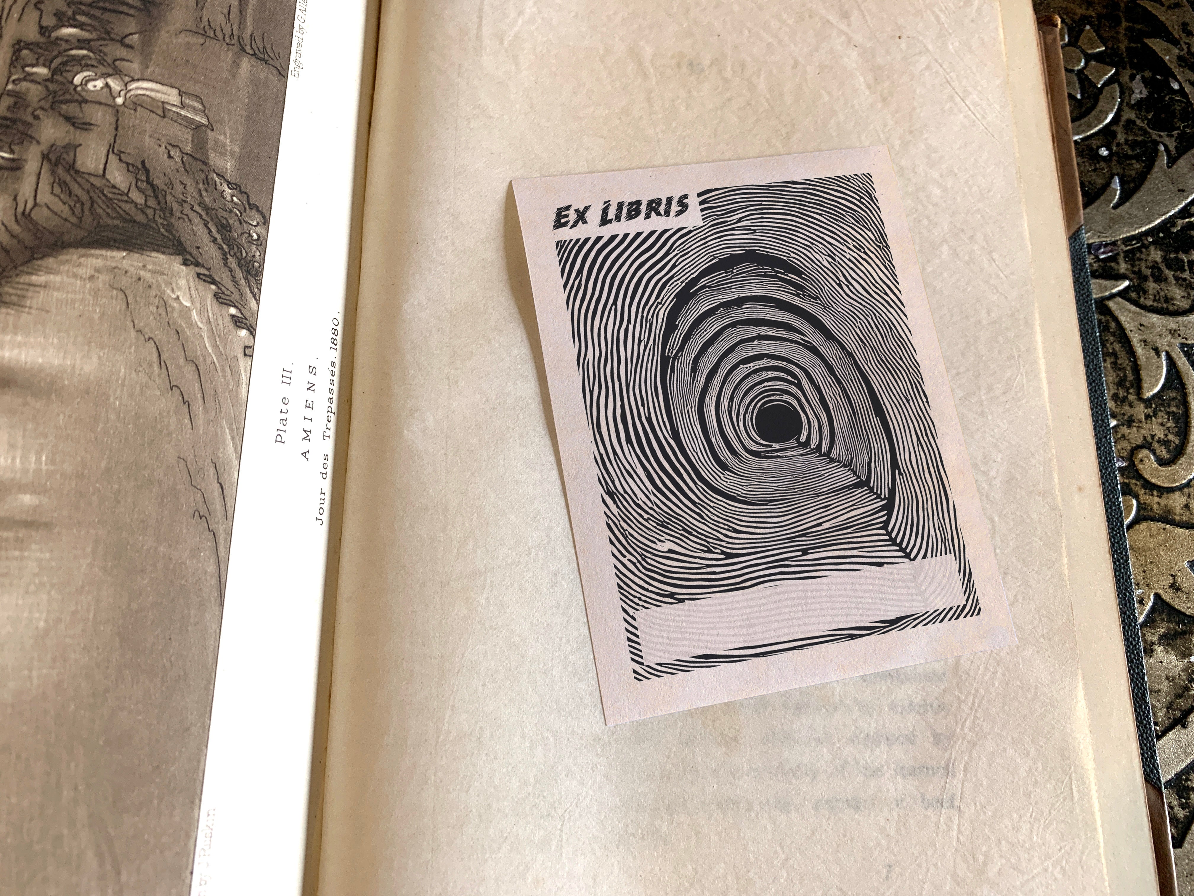 Rabbit Hole, Personalized Ex-Libris Bookplates, Crafted on Traditional Gummed Paper, 3in x 4in, Set of 30