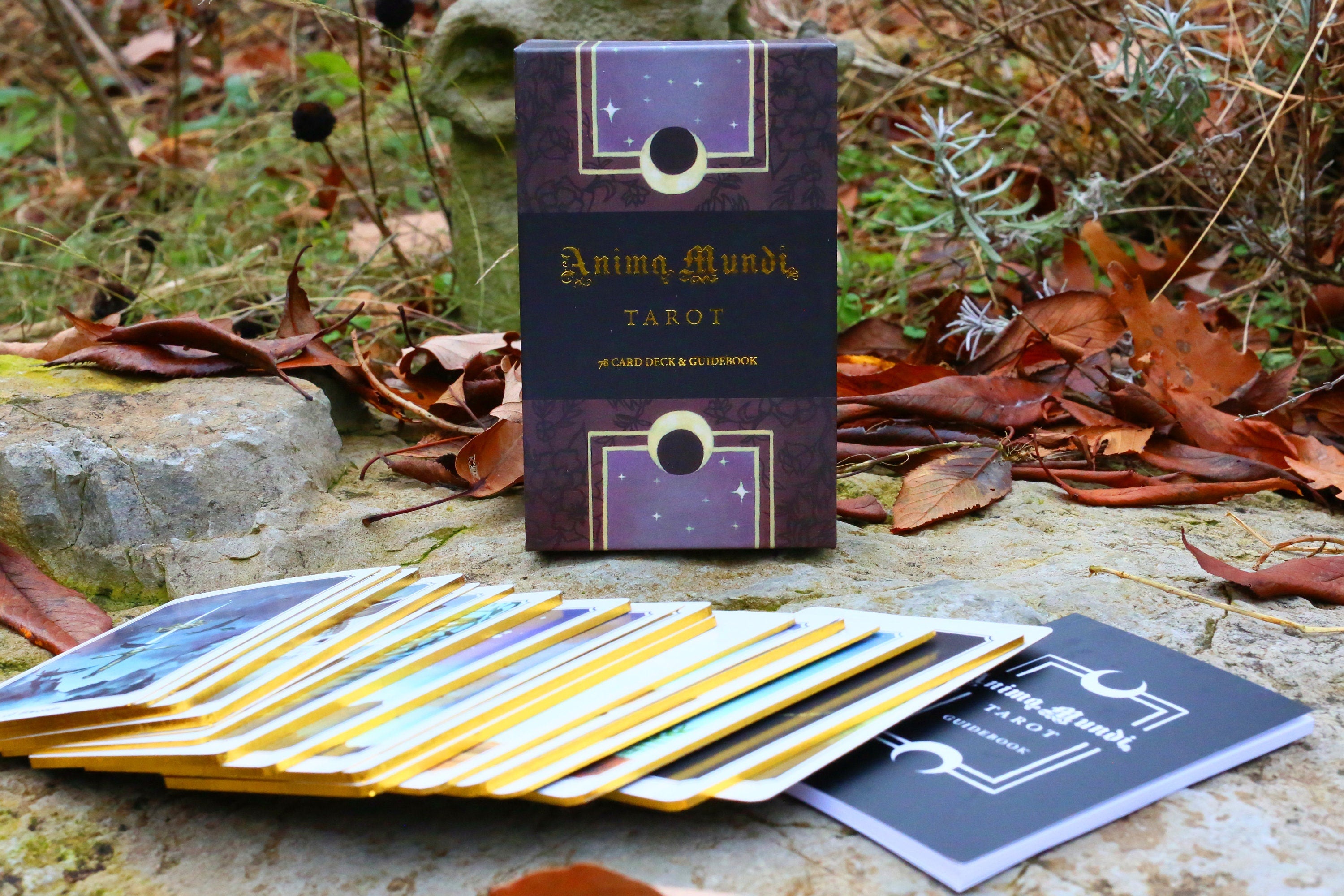 Nature, 78 Tarot Card Divination Set that Celebrates the Natural World, Beautifully Boxed, Includes Guidebook