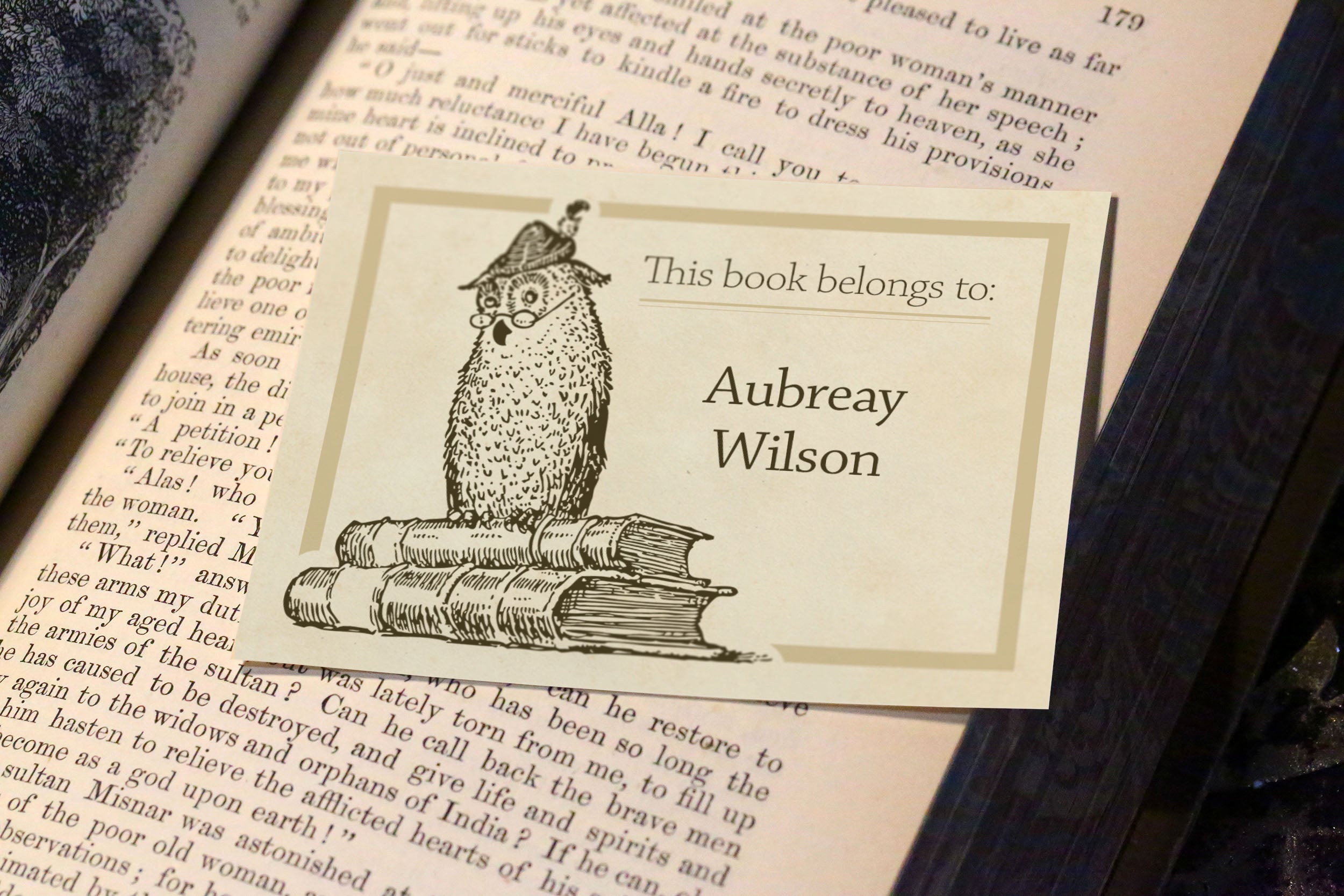 Owl With Feather In His Cap, Personalized Ex-Libris Bookplates, Crafted on Traditional Gummed Paper, 3.25in x 2.5in, Set of 30
