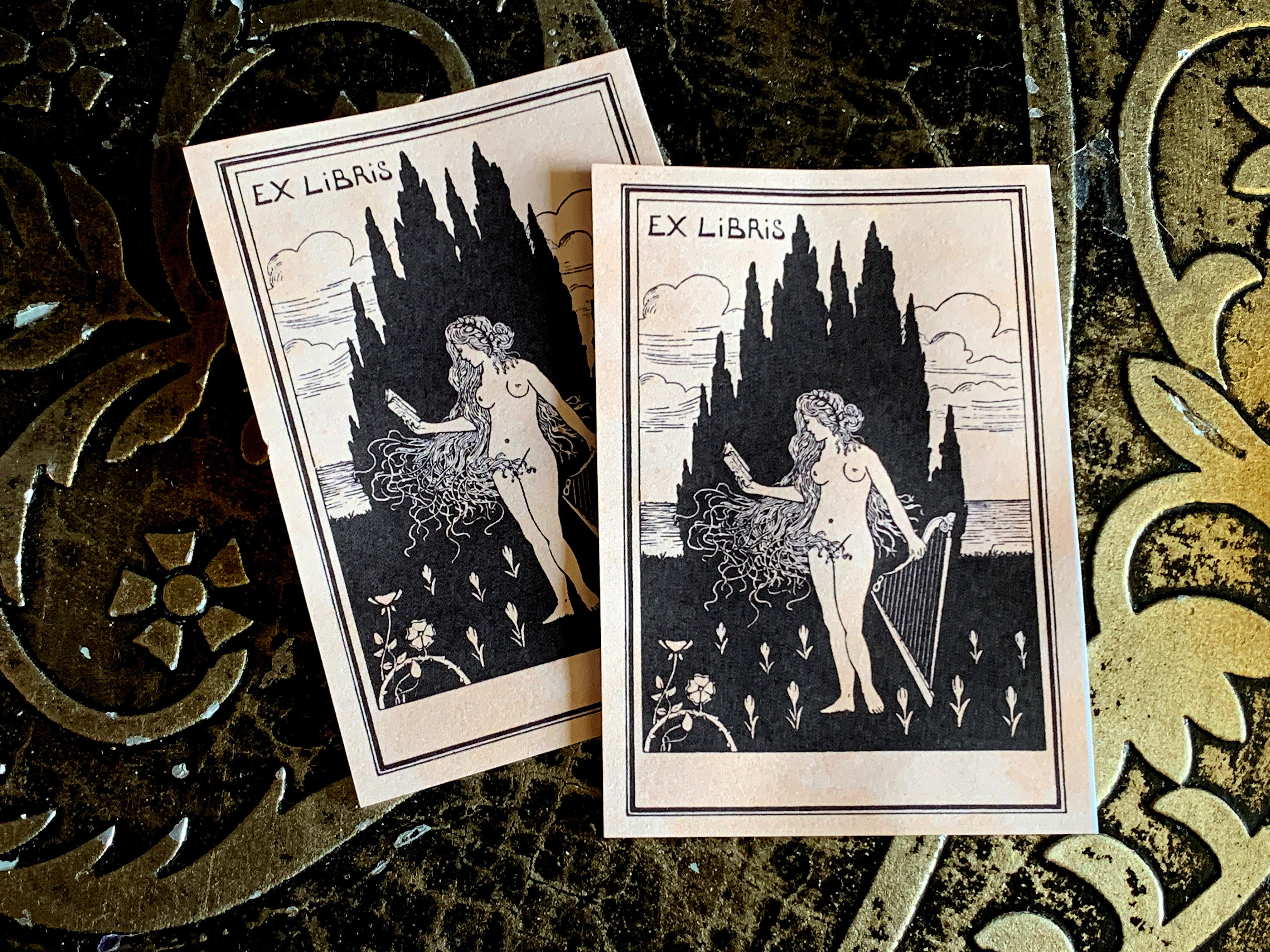 Nude with Harp, Personalized Erotic Ex-Libris Bookplates, Crafted on Traditional Gummed Paper, 2.75in x 4in, Set of 30