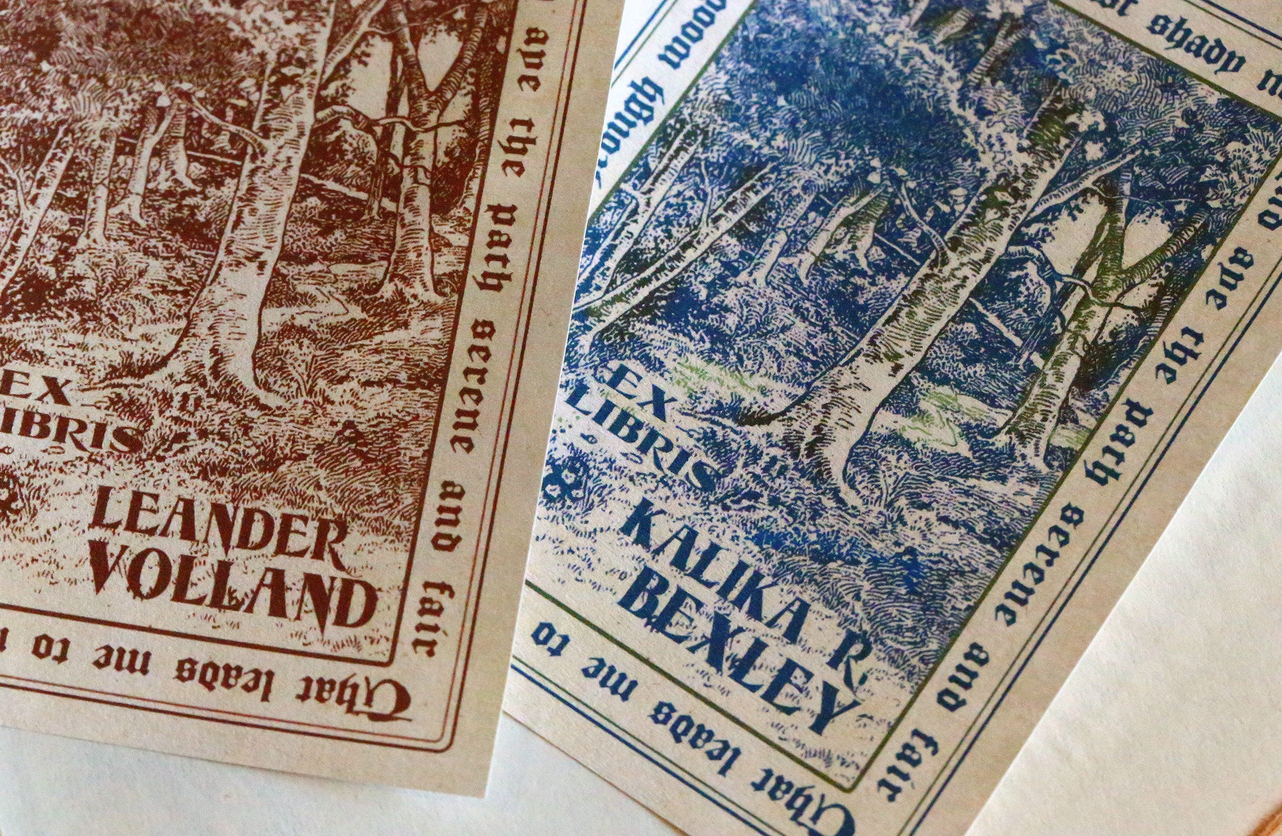 Woodland Path, Personalized Ex-Libris Bookplates, Crafted on Traditional Gummed Paper, 3in x 4in, Set of 30