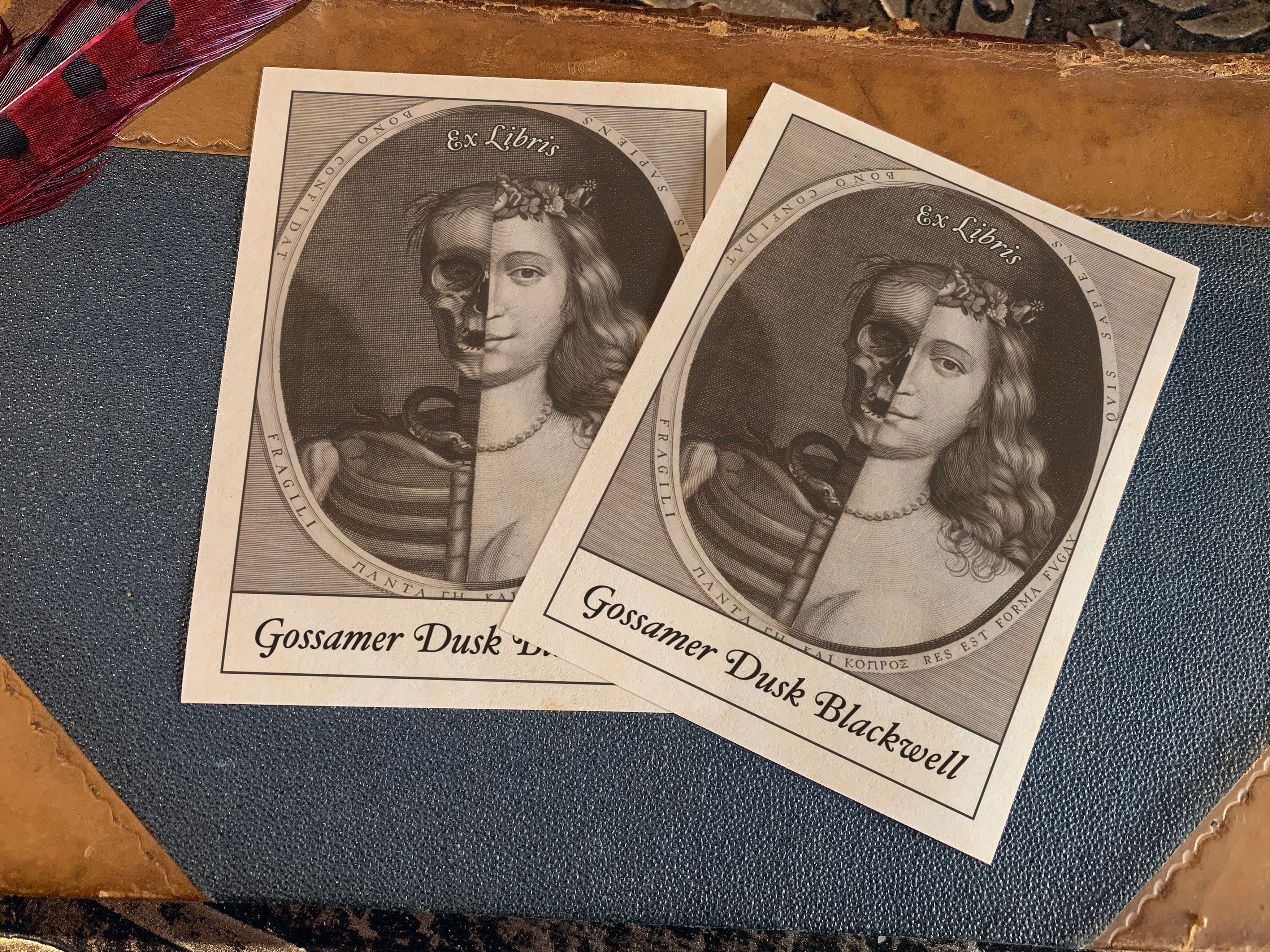 Death and the Maiden, Personalized Dark Academia Ex-Libris Bookplates, Crafted on Traditional Gummed Paper, 3in x 4in, Set of 30