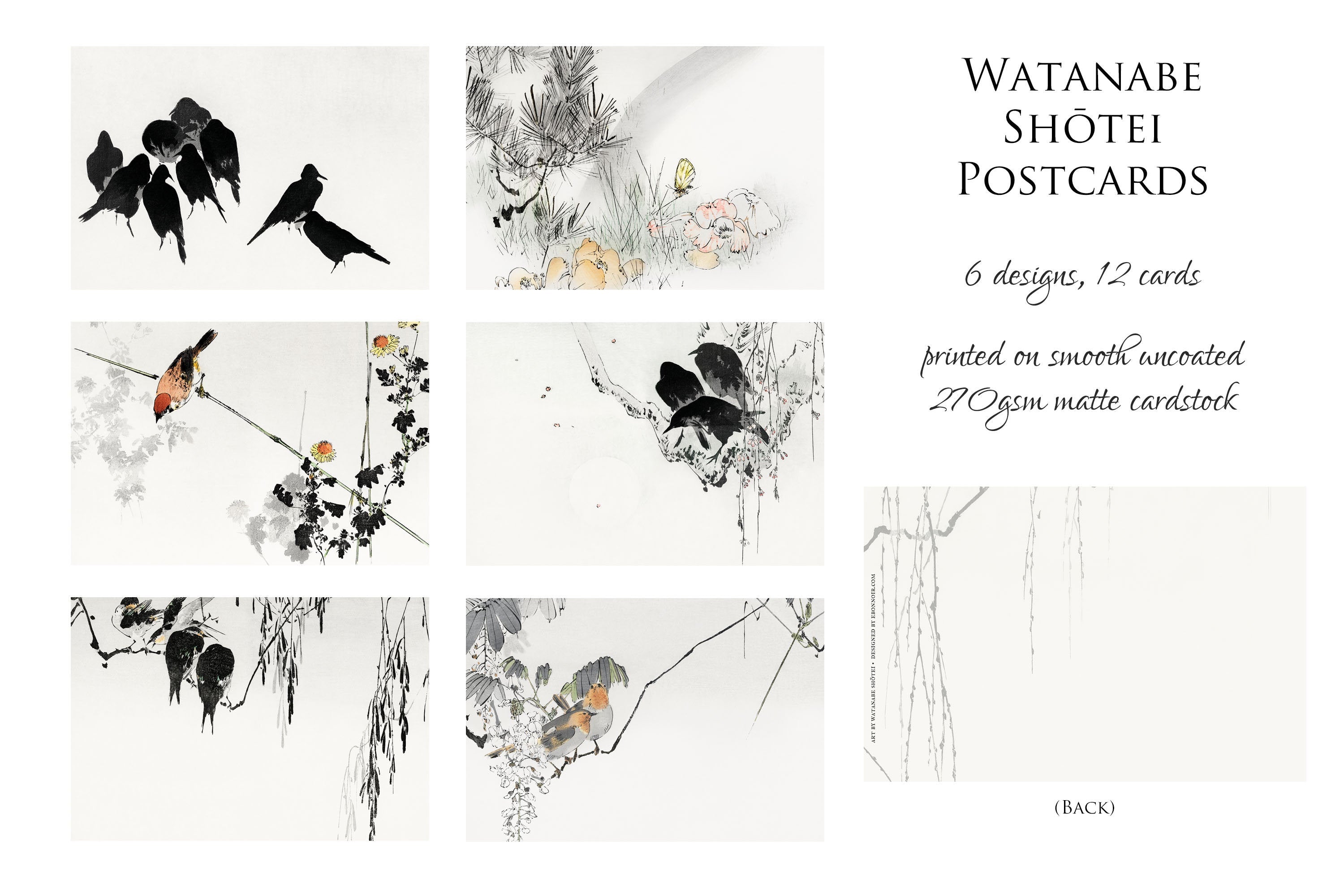 Watanabe Seitei Japanese Watercolor Postcards/Greeting Cards for Nature Lovers, 6 Designs, 12 Cards