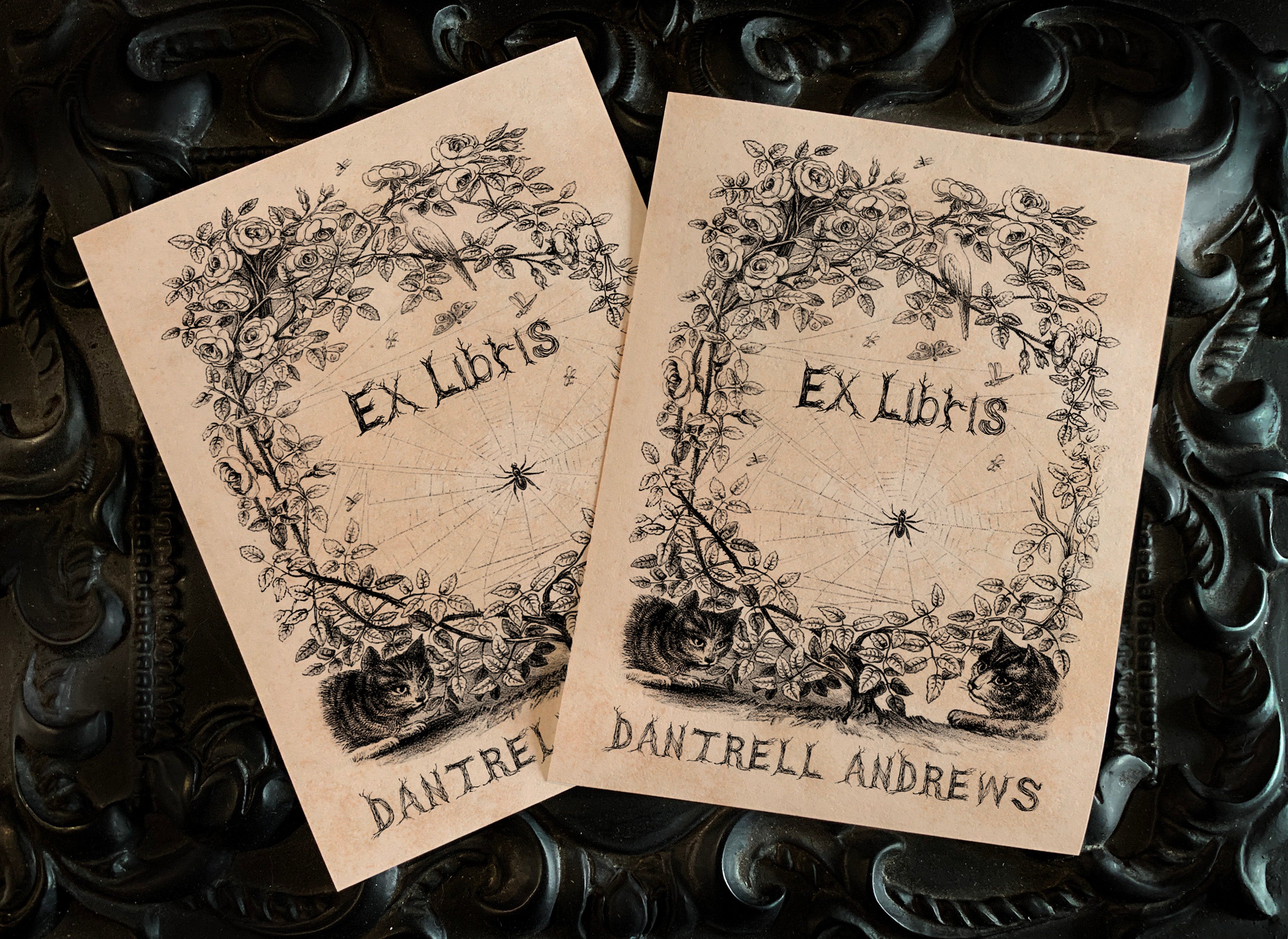 Spiderweb, Personalized Ex-Libris Bookplates, Crafted on Traditional Gummed Paper, 3in x 4in, Set of 30