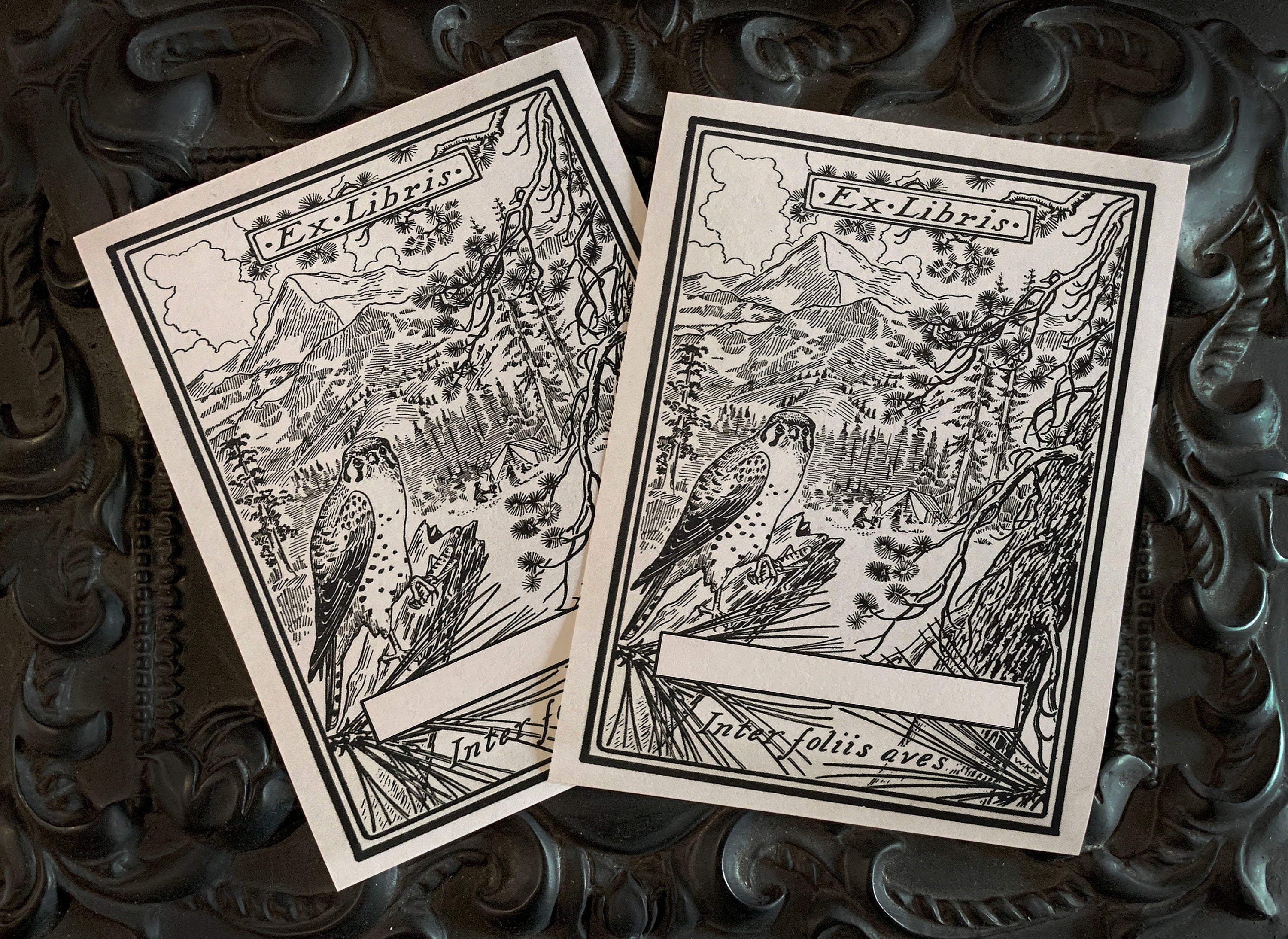 Regal Hawk, Personalized, Ex-Libris Bookplates, Crafted on Traditional Gummed Paper, 3in x 4in, Set of 30