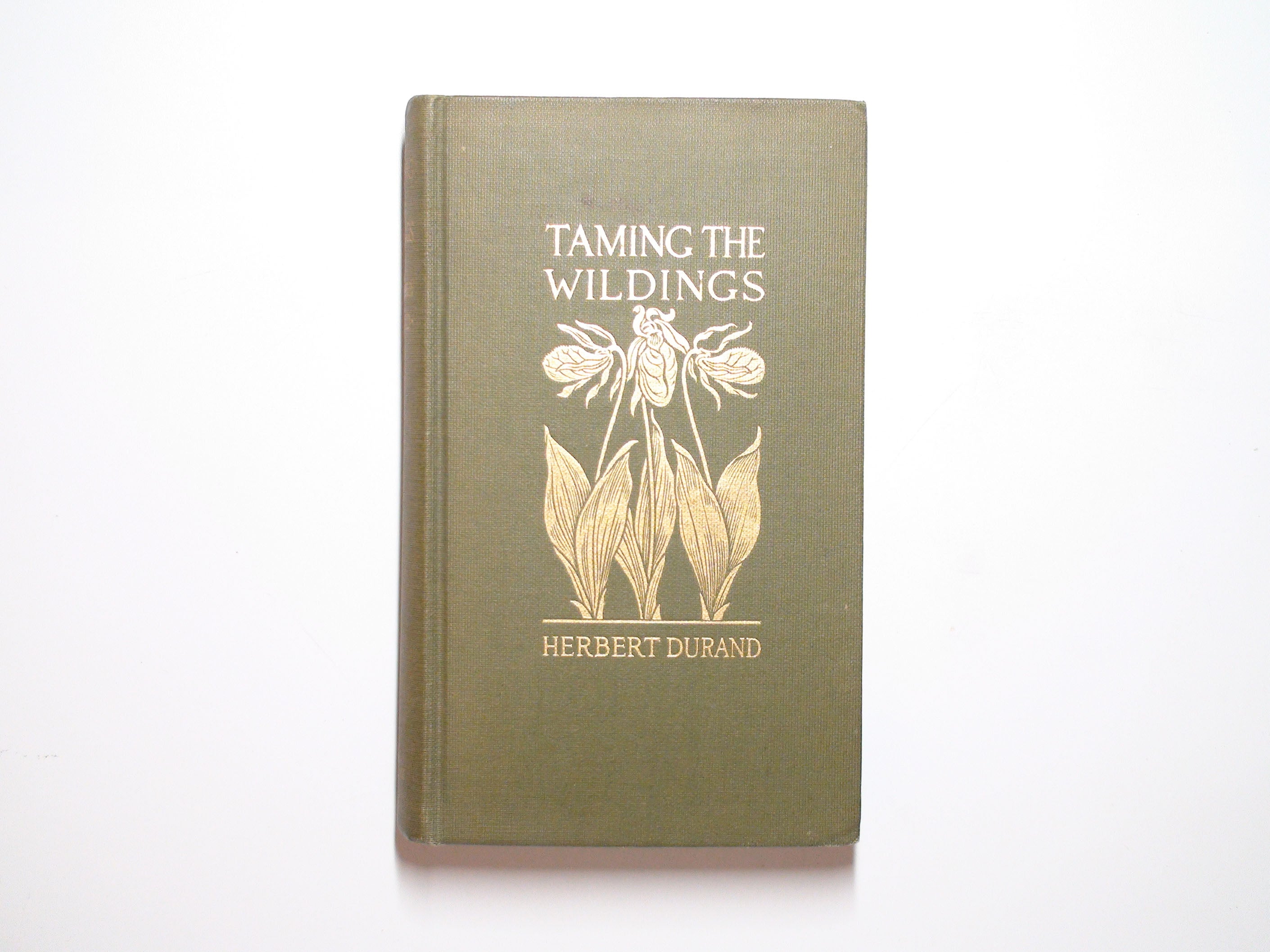 Taming the Wildings, by Herbert Durand, Illustrated, 1st Ed, 1923