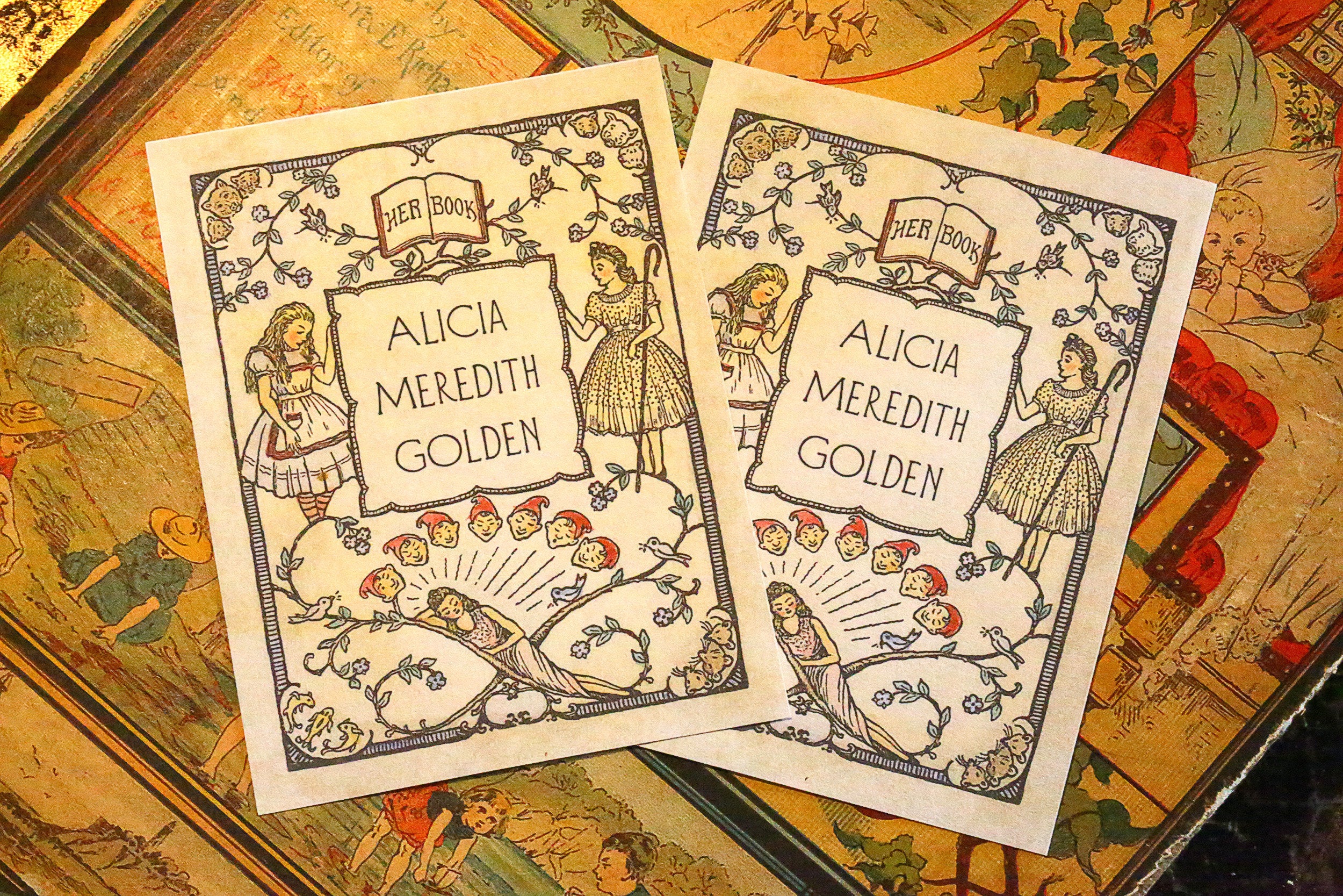 Fairytale Dream, Personalized Ex-Libris Bookplates For Her, Crafted on Traditional Gummed Paper, 3in x 4in, Set of 30