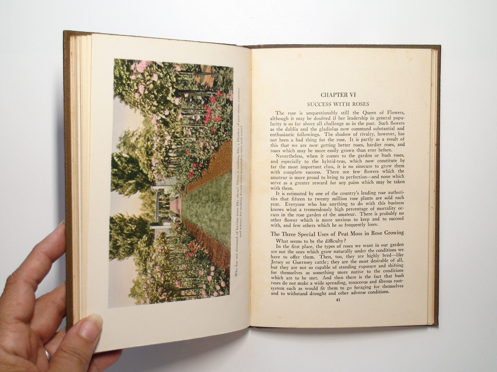 Gardening with Peat Moss, by F. F. Rockwell, Illustrated, 1st Ed, 1928