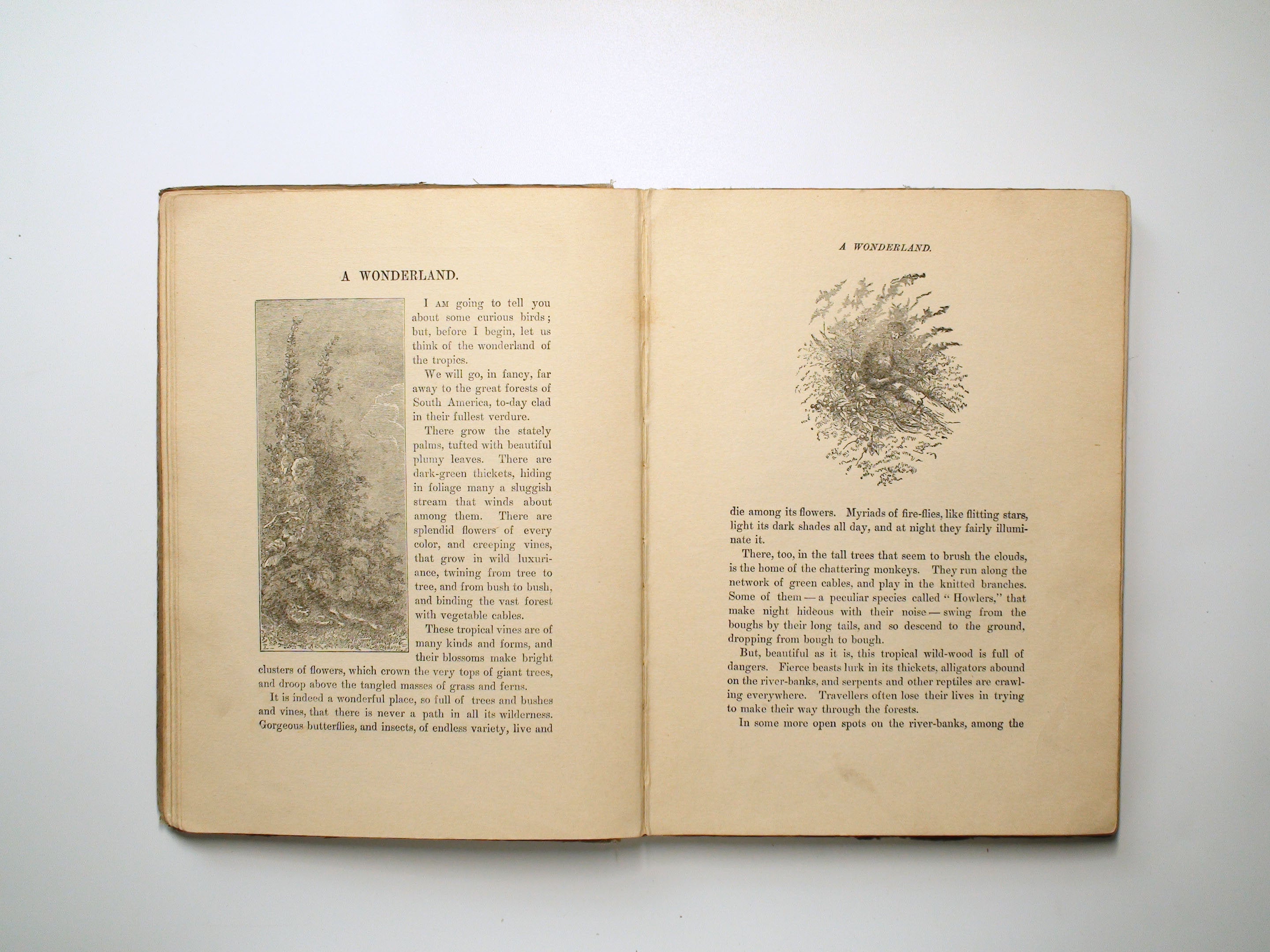 Round About Stories, Illustrated, Charles E. Graham and Co., c1890s