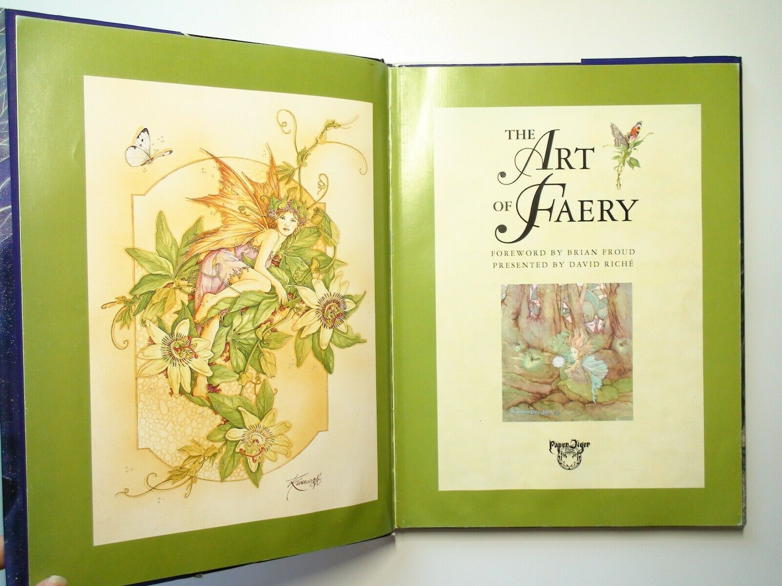 The Art of Faery, David Riche, Brian Froud, 1st Ed, w DJ, Illustrated, 2003