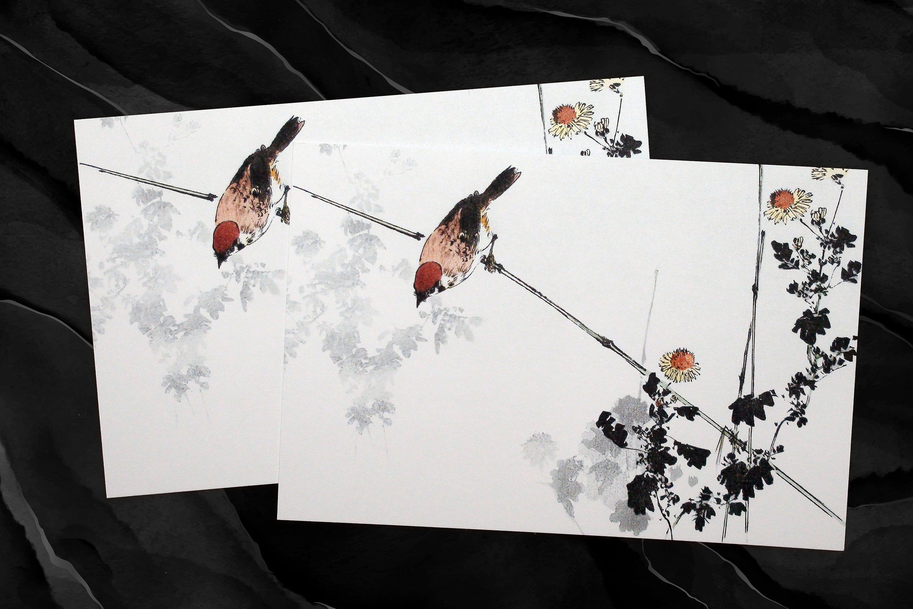 Watanabe Seitei Japanese Watercolor Postcards/Greeting Cards for Nature Lovers, 6 Designs, 12 Cards