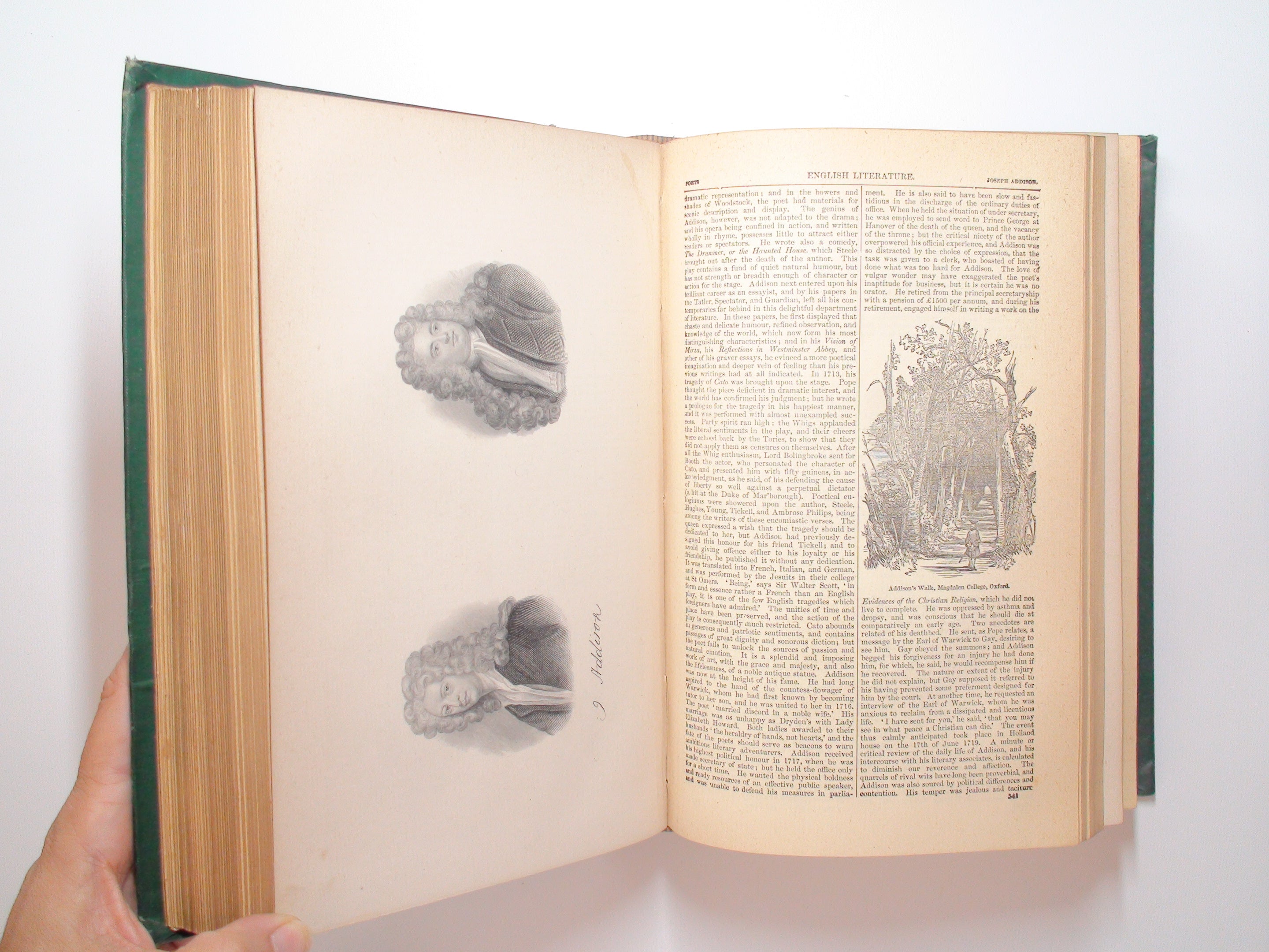 Cyclopedia of English Literature, by Robert Chambers, Illustrated, 1st Ed, 1882