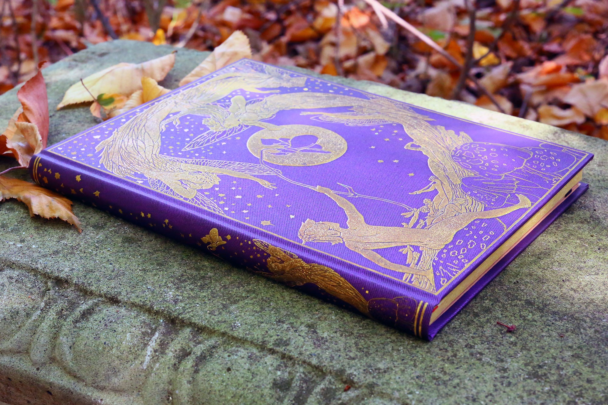 Violet Fairy, Lang's Fairy Book Limited Edition, Journal with Gilt Accents, Lined, Paperblanks, 7in x 5in