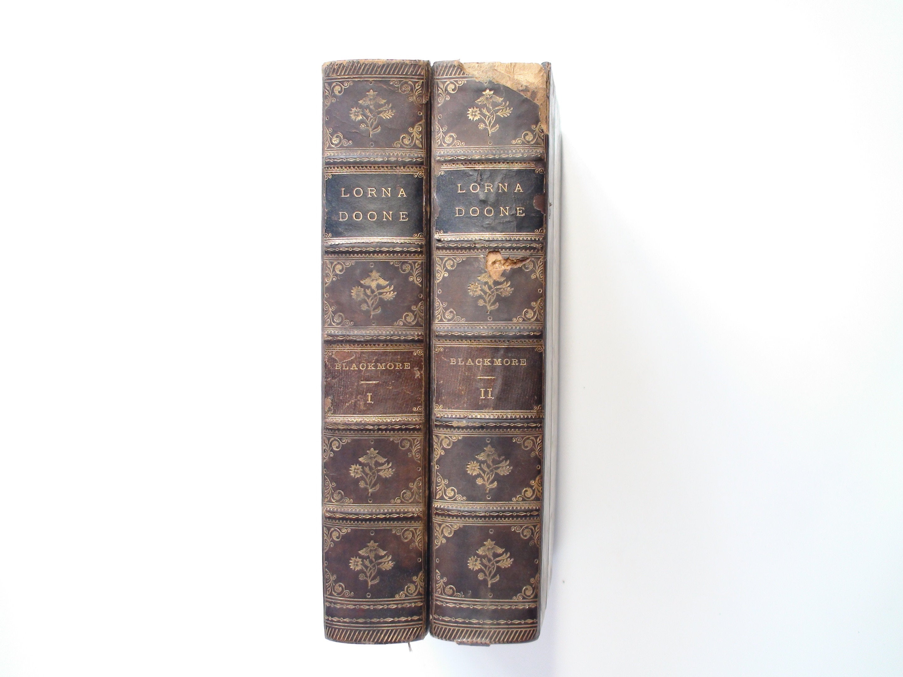 Lorna Doone, by R. D. Blackmore, Illustrated, Leather, Two Vols, 1882