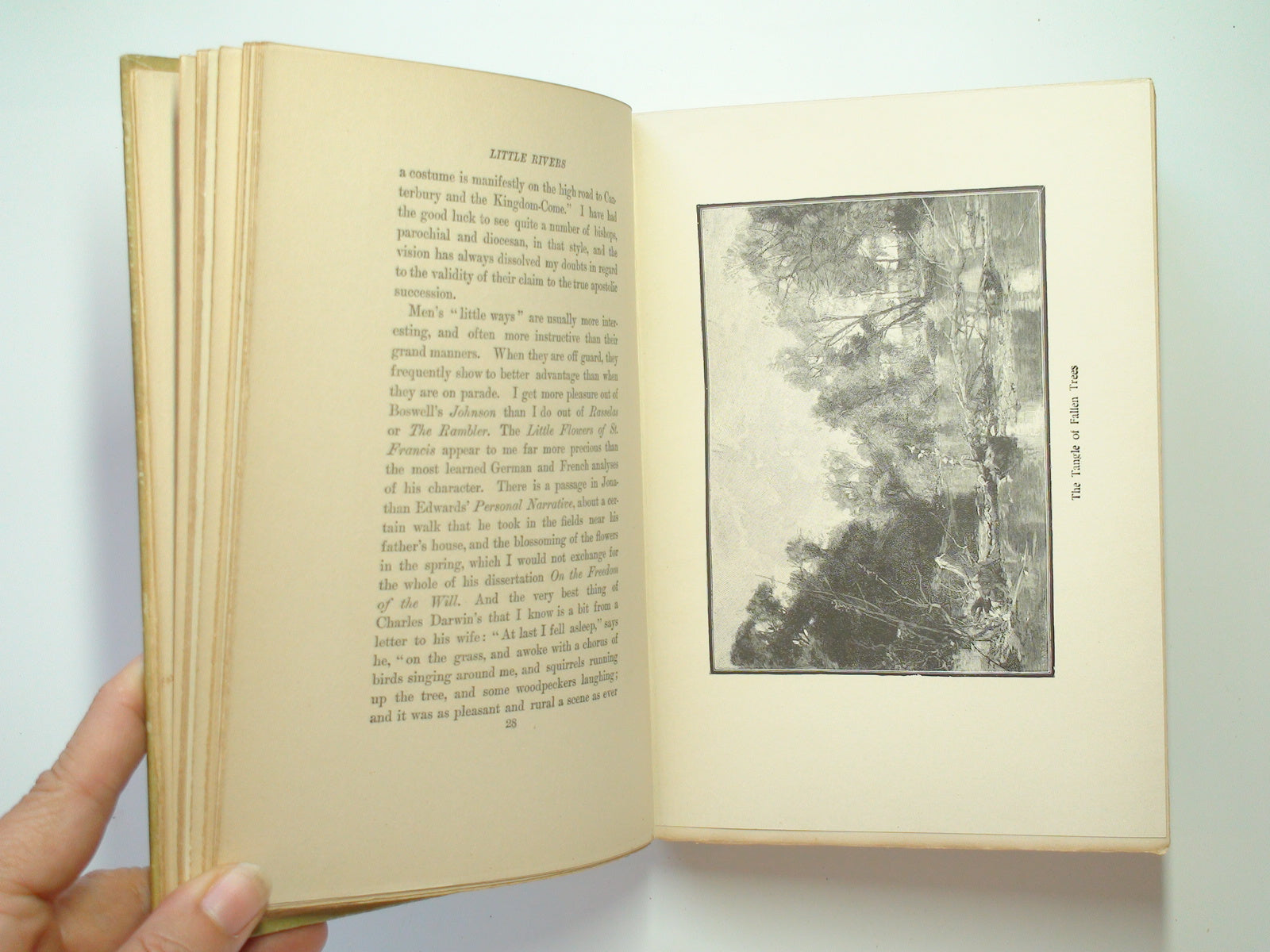 Little Rivers, Henry Van Dyke, Illustrated, Cameo Edition, 1902