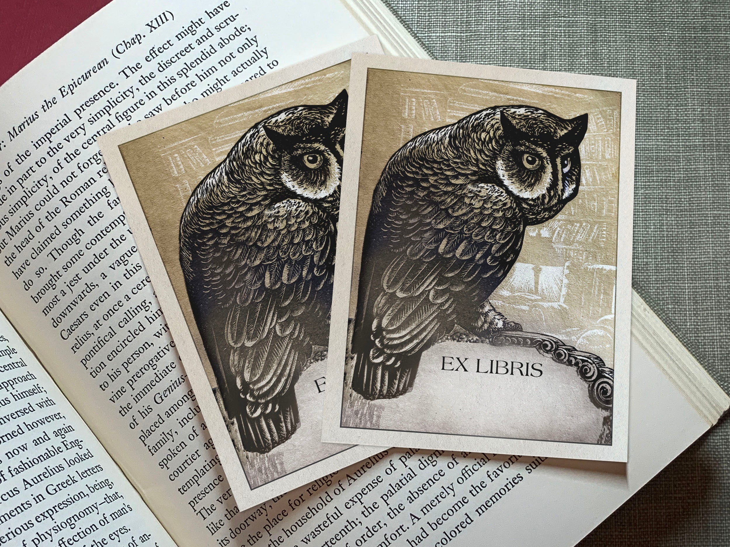 Regal Owl, Personalized Ex-Libris Bookplates, Crafted on Traditional Gummed Paper, 3in x 4in, Set of 30