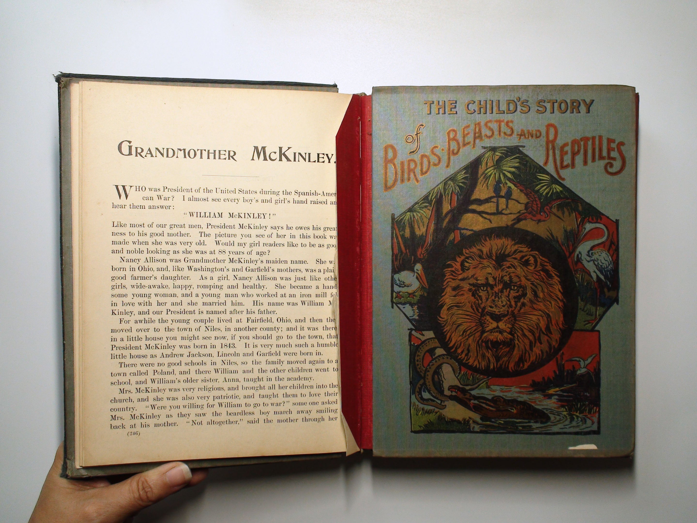 Album of Six Collectible Children's Books, Illustrated, Rare, 1901