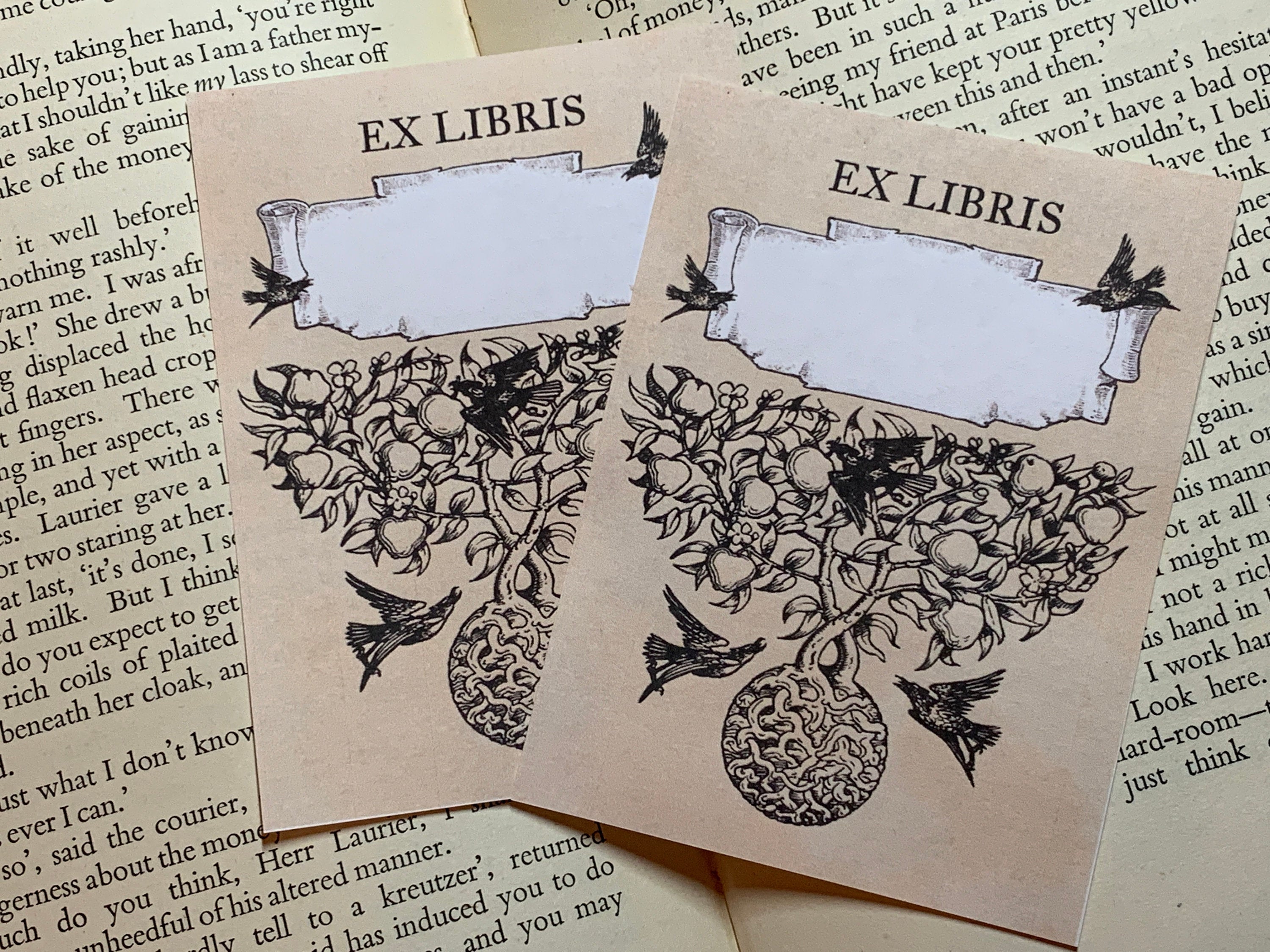 Grimm Crows, Personalized Ex-Libris Bookplates, Crafted on Traditional Gummed Paper, 3in x 4in, Set of 30