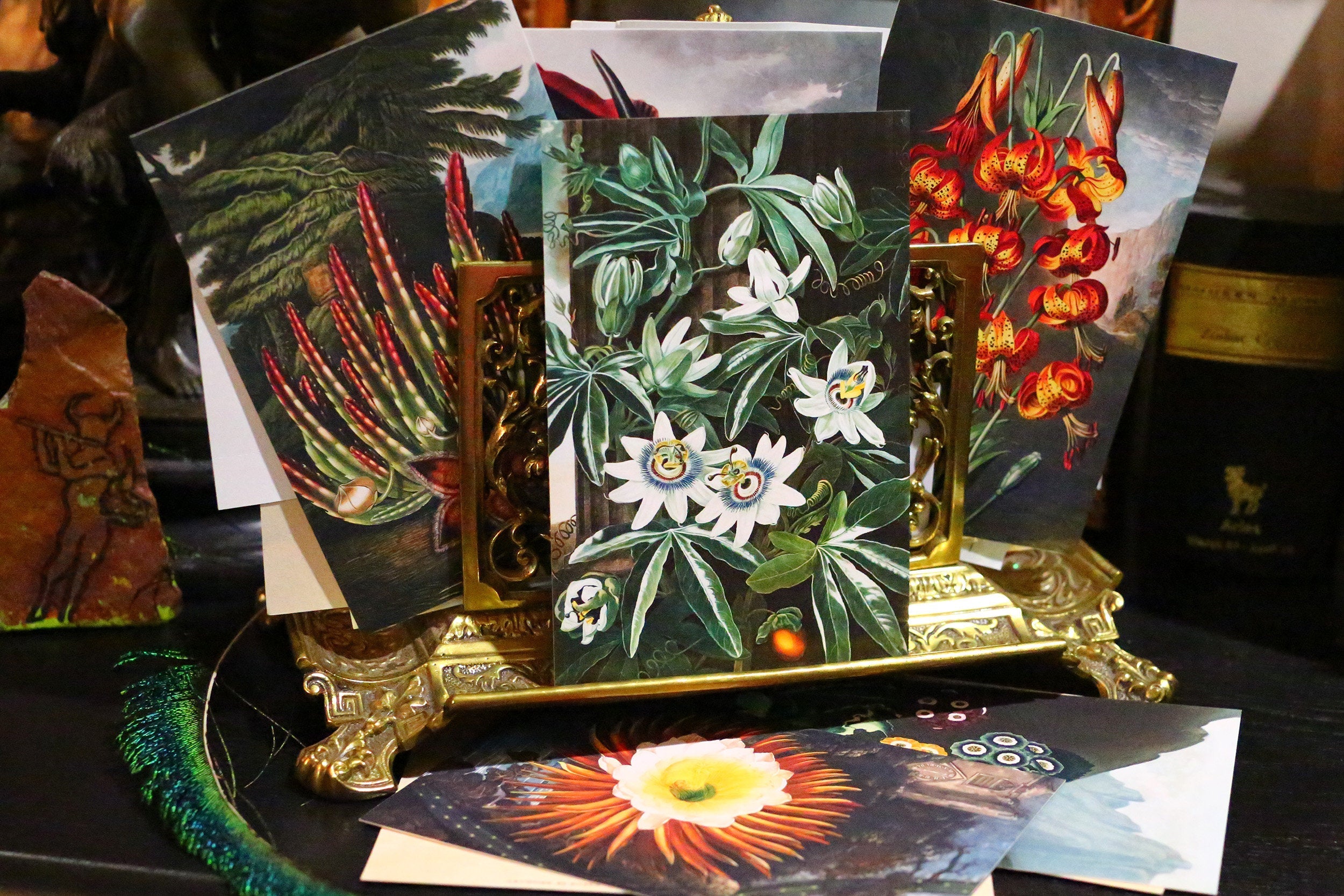 Robert John Thornton's Temple of Flora Postcards/Greeting Cards for Literature and Garden Lovers, 6 Designs, 12 Cards