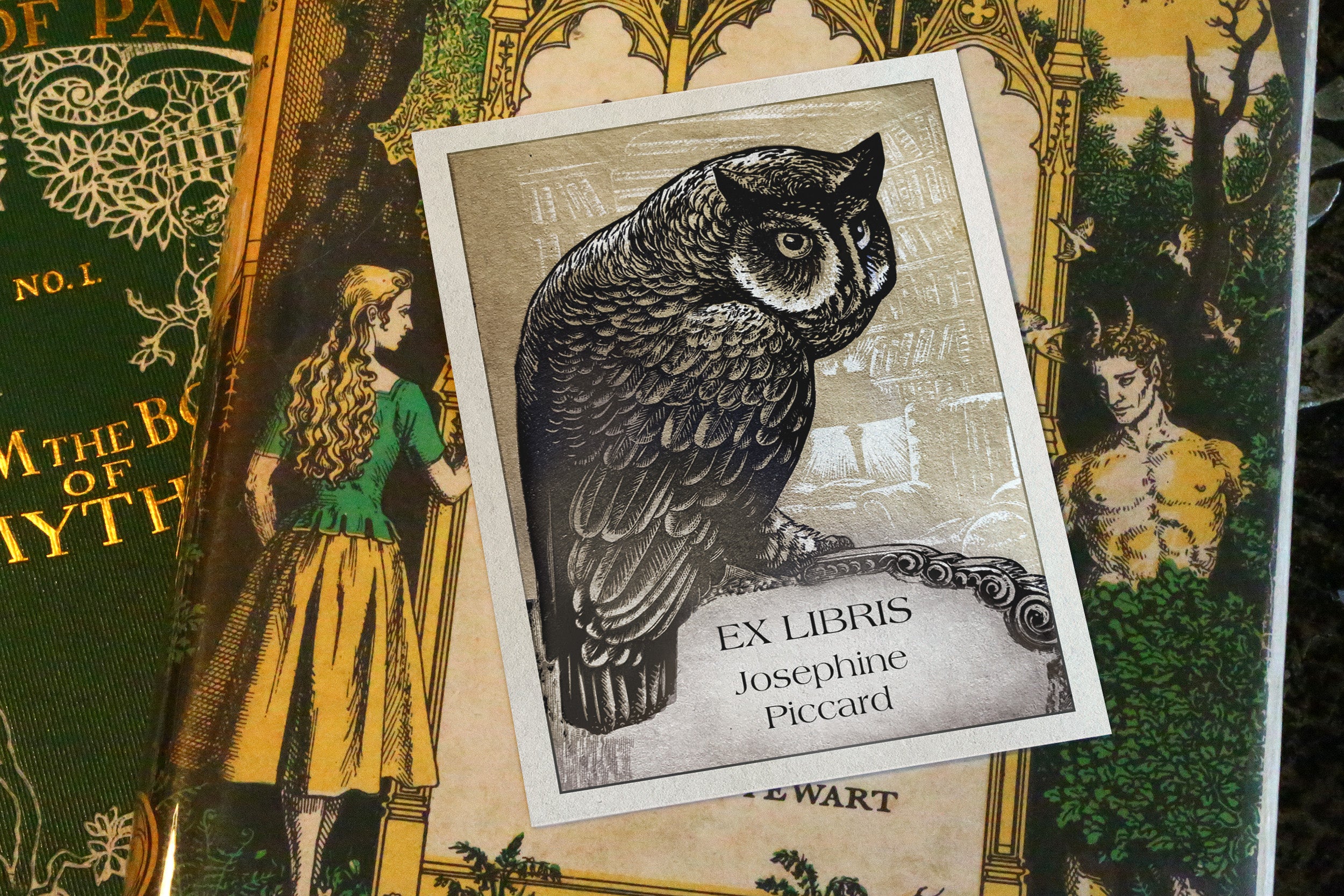 Regal Owl, Personalized Ex-Libris Bookplates, Crafted on Traditional Gummed Paper, 3in x 4in, Set of 30