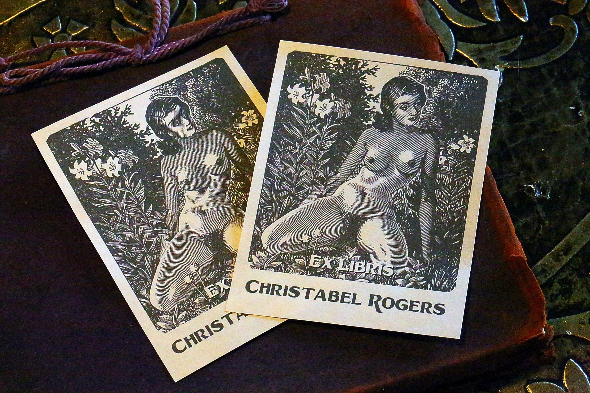 Sunning Beauty, Personalized Erotic Ex-Libris Bookplates, Crafted on Traditional Gummed Paper, 3in x 4in, Set of 30
