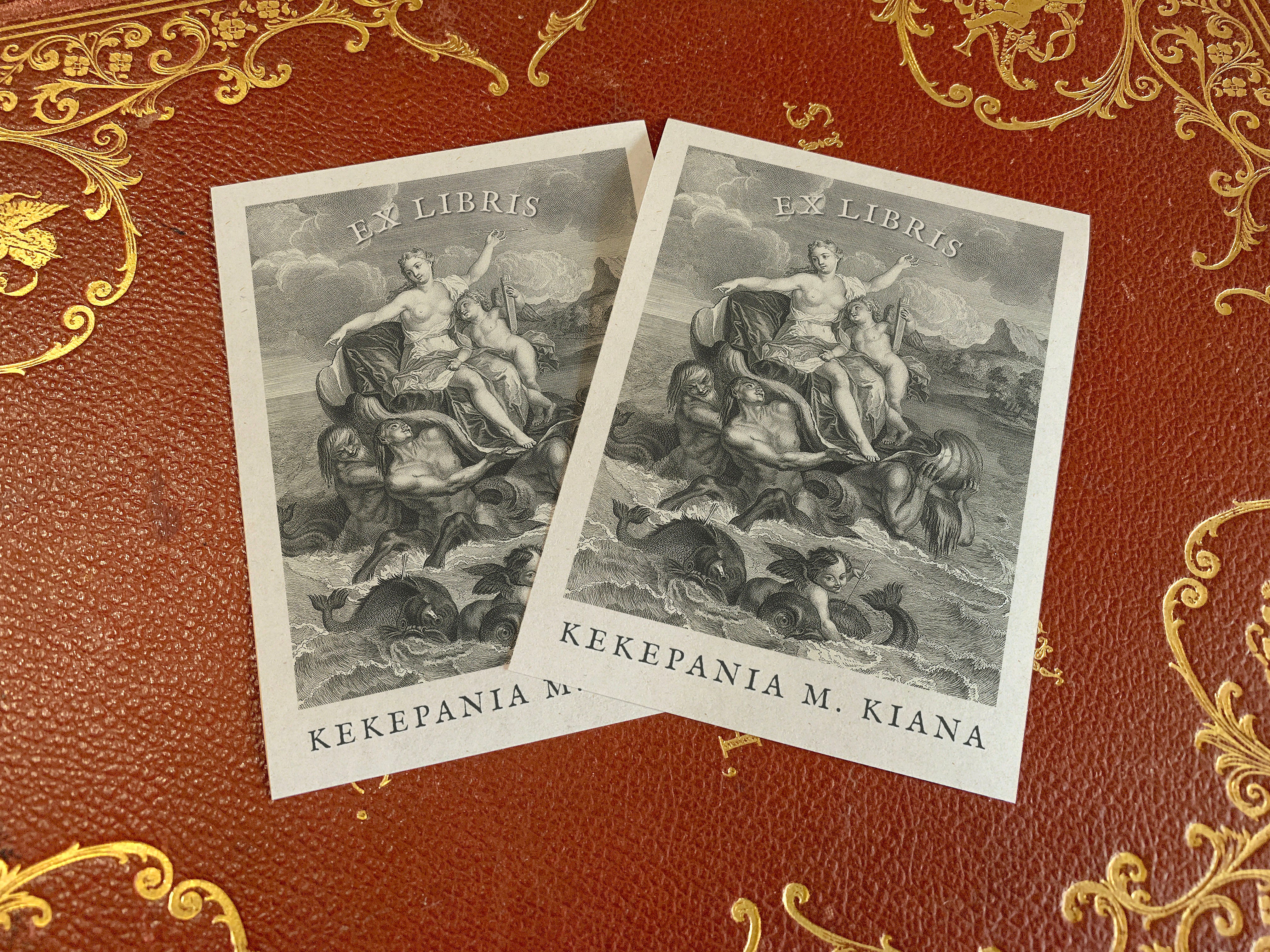 Triumph of the Marine Venus, Personalized Ex-Libris Bookplates, Crafted on Traditional Gummed Paper, 3in x 4in, Set of 30