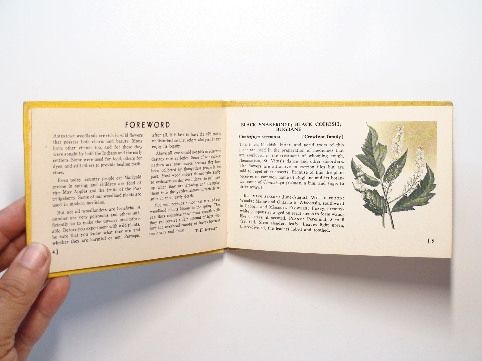 A Guide to Wild Flowers, Woodland Flowers, by T. H. Everett, Illustrated, 1945