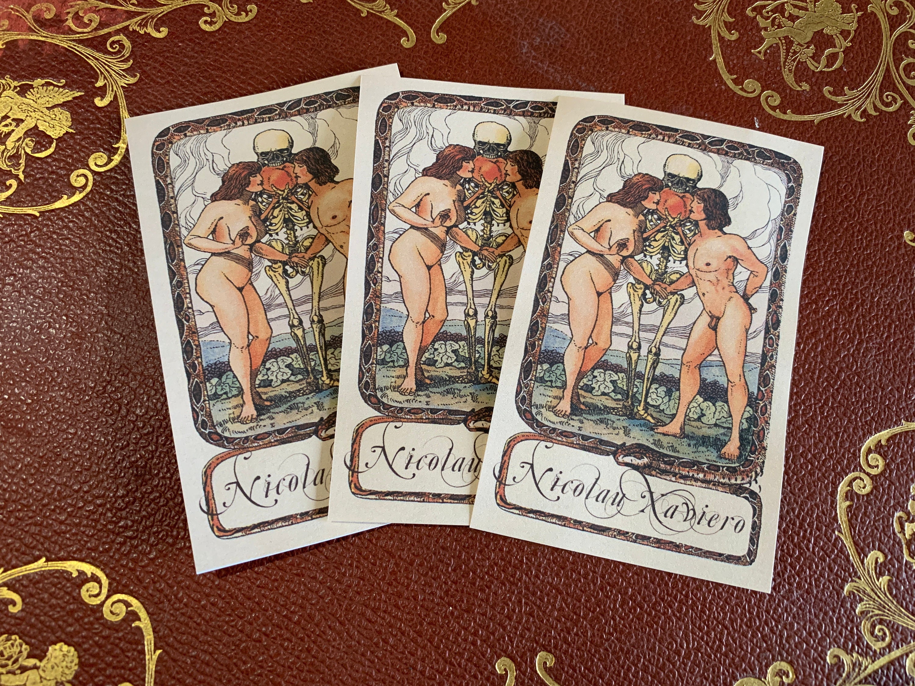 Adam and Eve, Personalized Erotic Ex-Libris Bookplates, Crafted on Traditional Gummed Paper, 4in x 2.5in, Set of 30