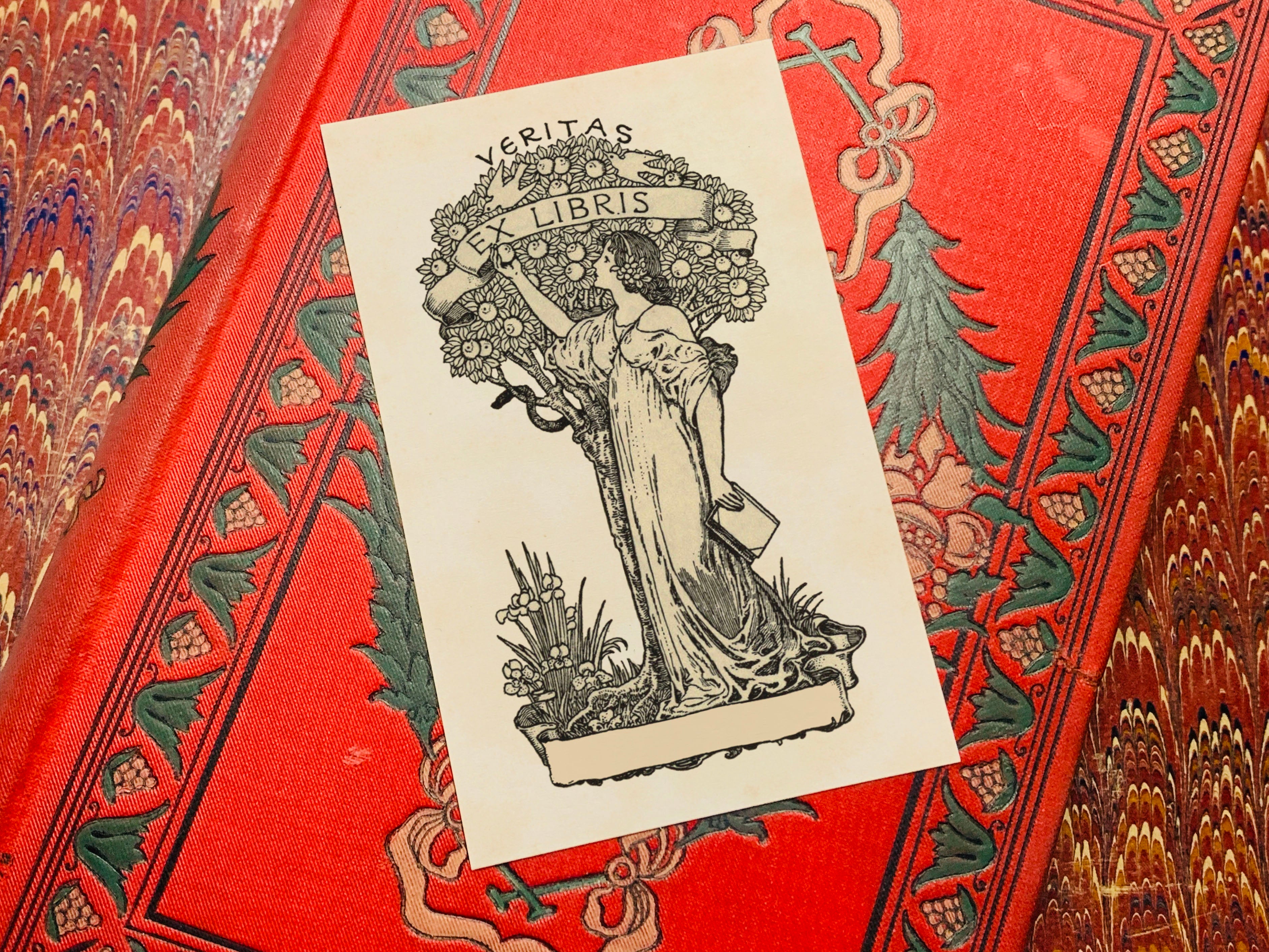 Veritas, Eve's Temptation, Personalized Ex-Libris Bookplates, Crafted on Traditional Gummed Paper, 2.5in x 4in, Set of 30