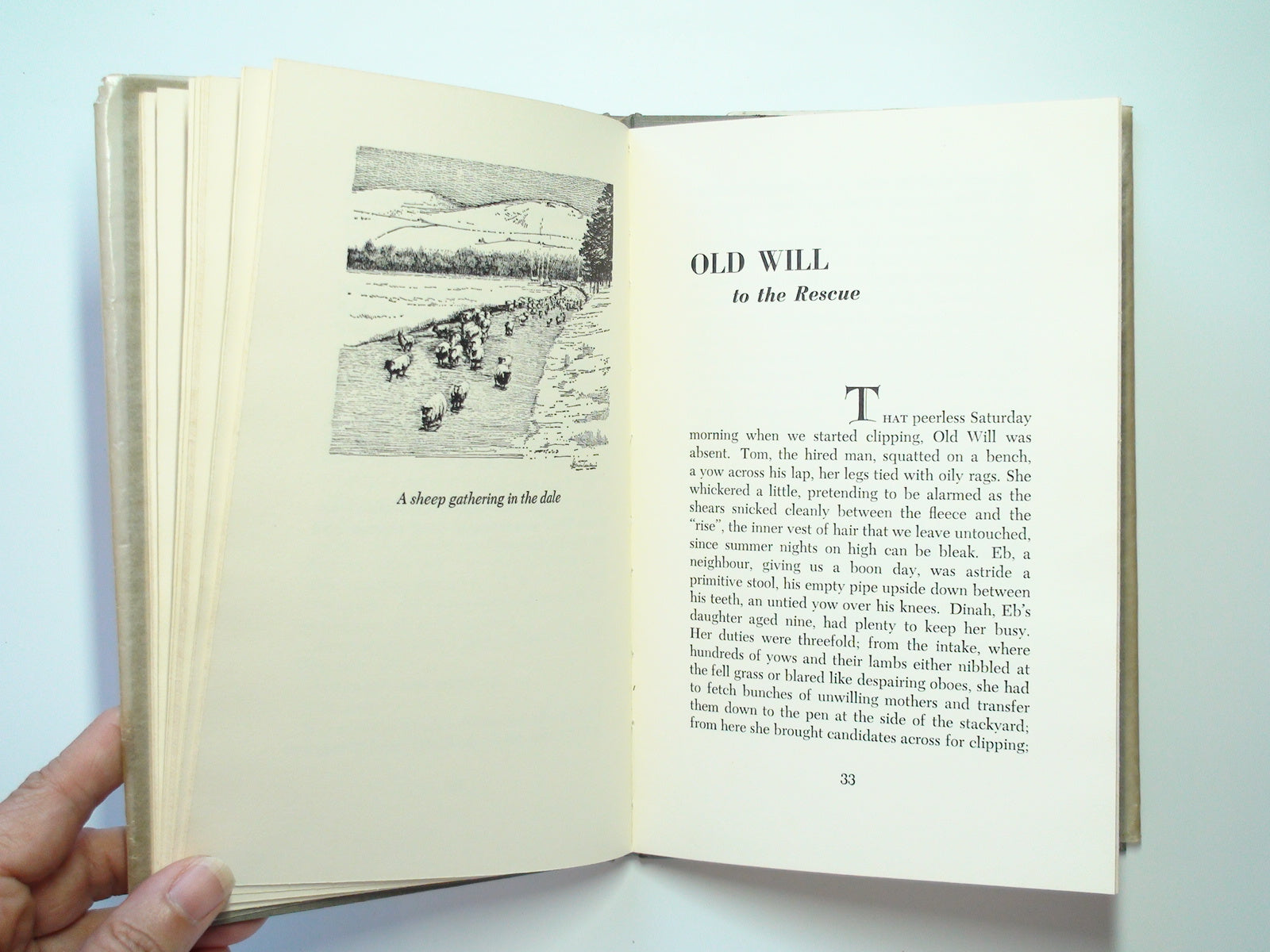 Old Will Stories, With Letter from Editor, by Dudley Hoys, 1st Ed, 1971