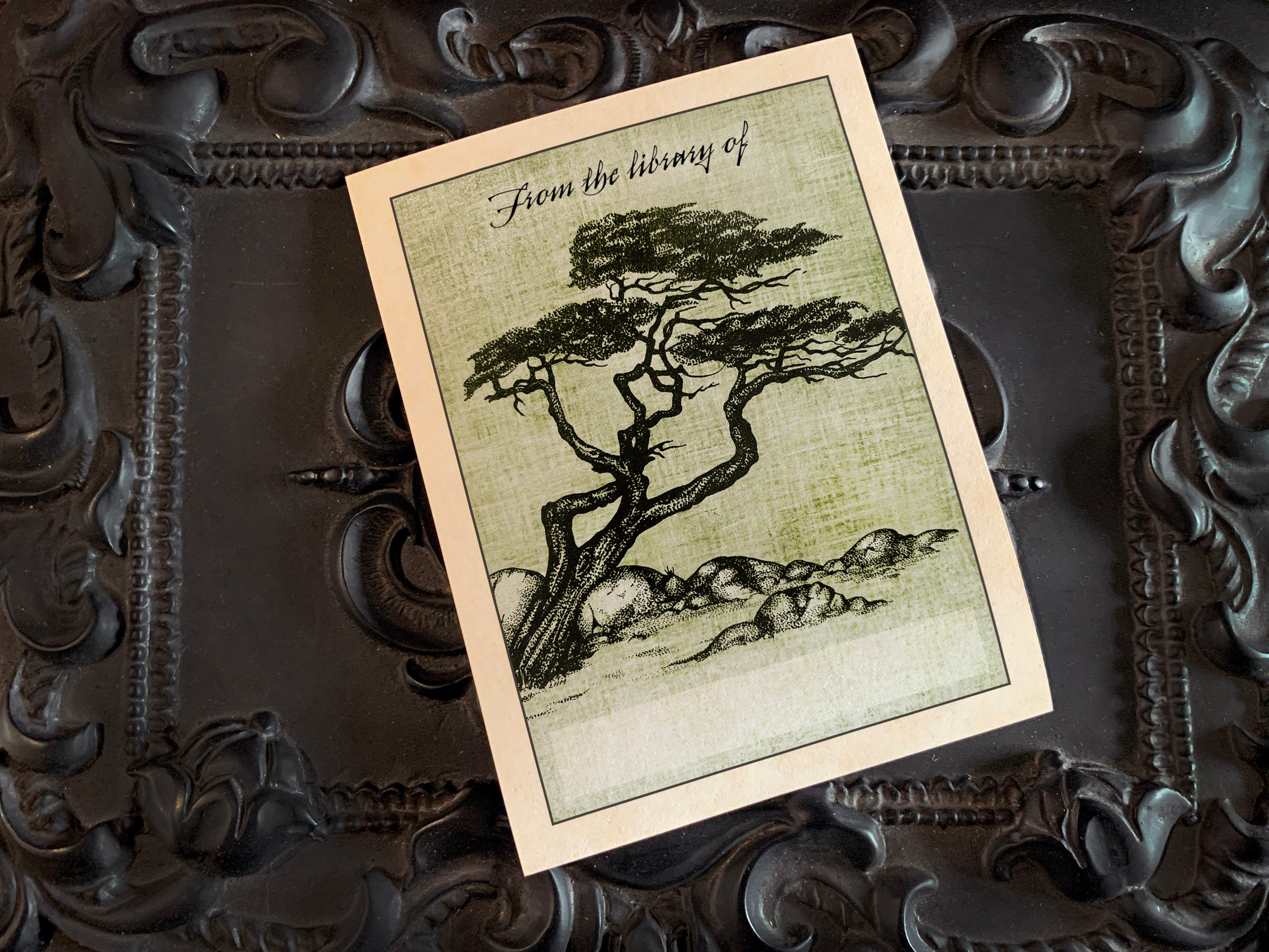 Japanese Black Pine (Pinus thunbergii), Personalized Ex-Libris Bookplates, Crafted on Traditional Gummed Paper, 3in x 4in, Set of 30