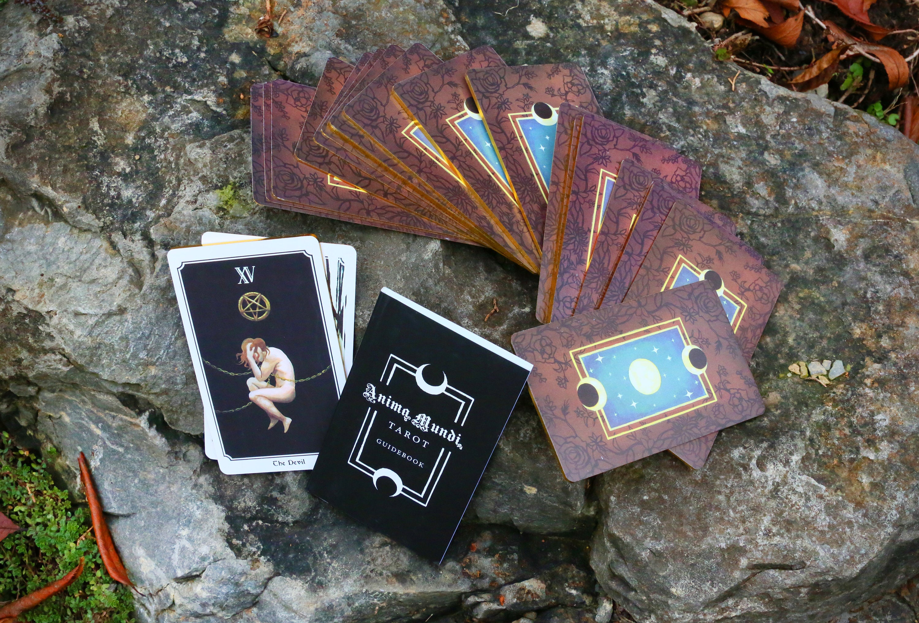 Nature, 78 Tarot Card Divination Set that Celebrates the Natural World, Beautifully Boxed, Includes Guidebook