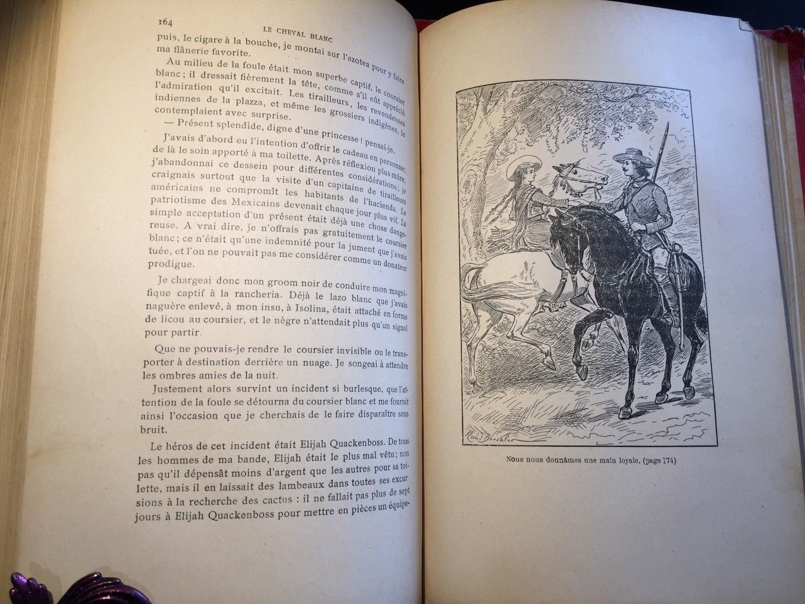 Le Cheval Blanc Par Le Capitaine Mayne-Reid, French, Illustrated, Rare, c1907