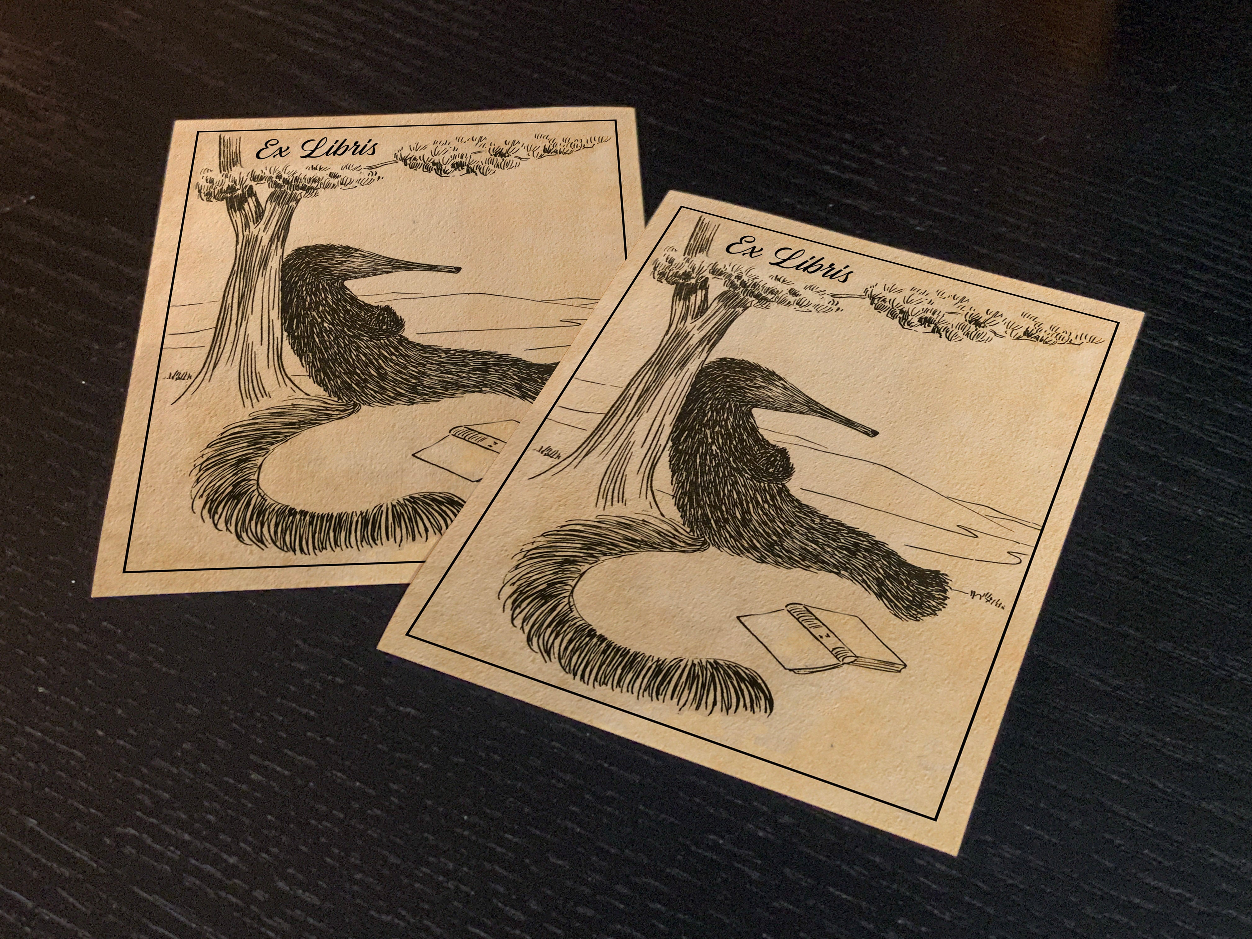 Anteater, Personalized Ex-Libris Bookplates, Crafted on Traditional Gummed Paper, 3in x 4in, Set of 30