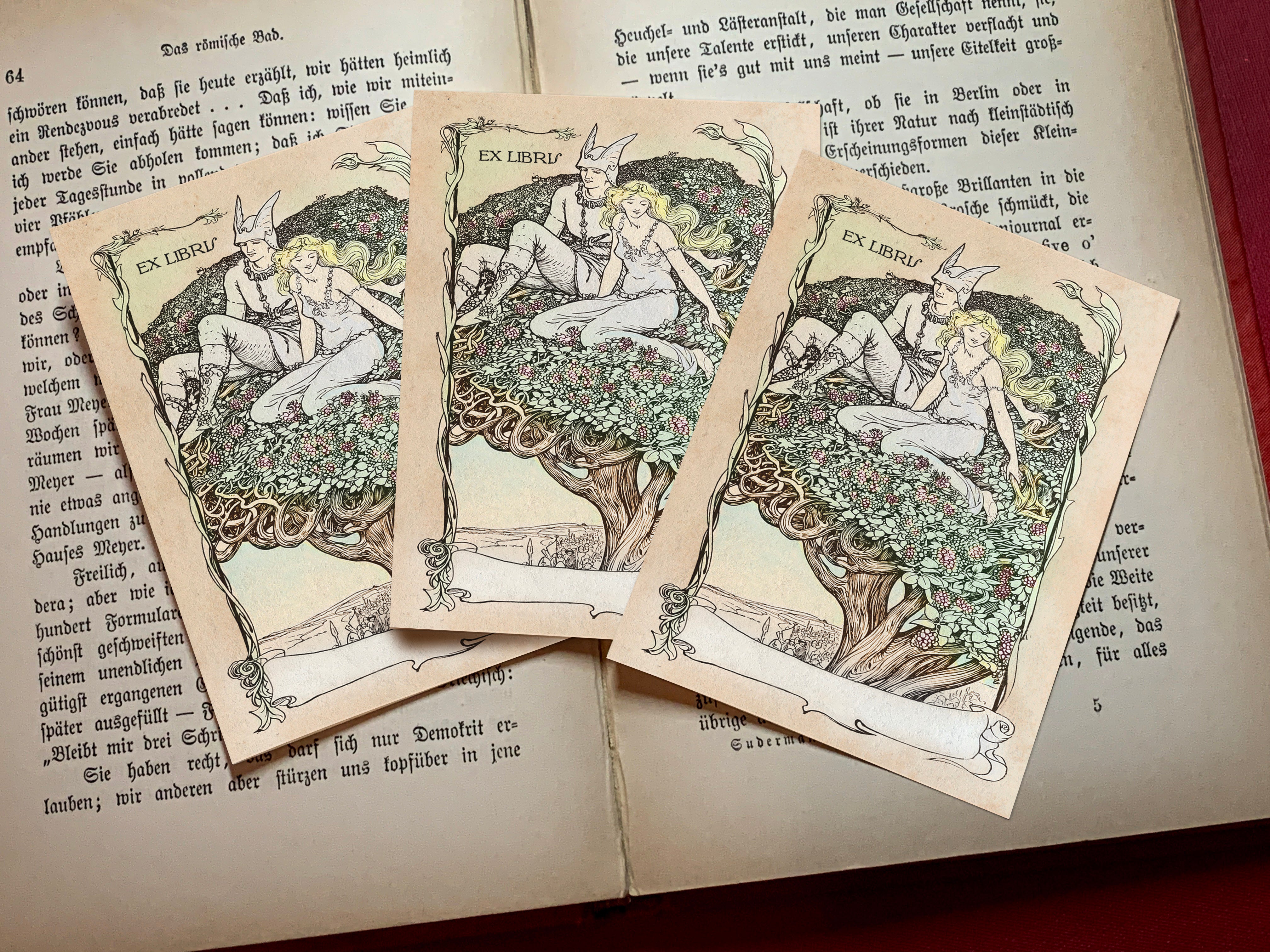 Fenian Cycle Irish Fairytale, Personalized Ex-Libris Bookplates, Crafted on Traditional Gummed Paper, 3in x 4in, Set of 30
