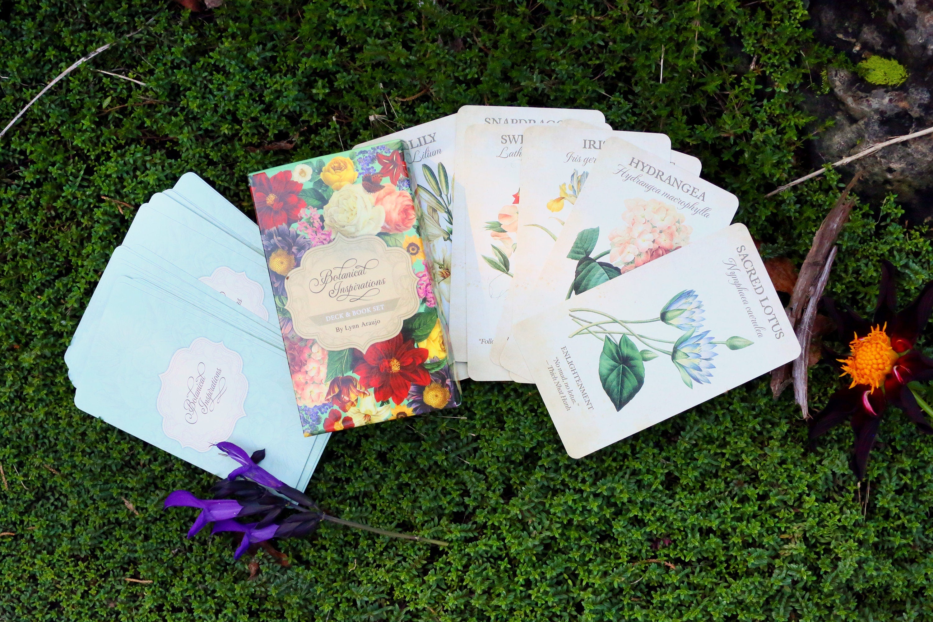 Botanical Inspirations, 44 Card Divination Deck, Based on the Sacred Language of Flowers, Illustrated by Pierre Joseph Redoute