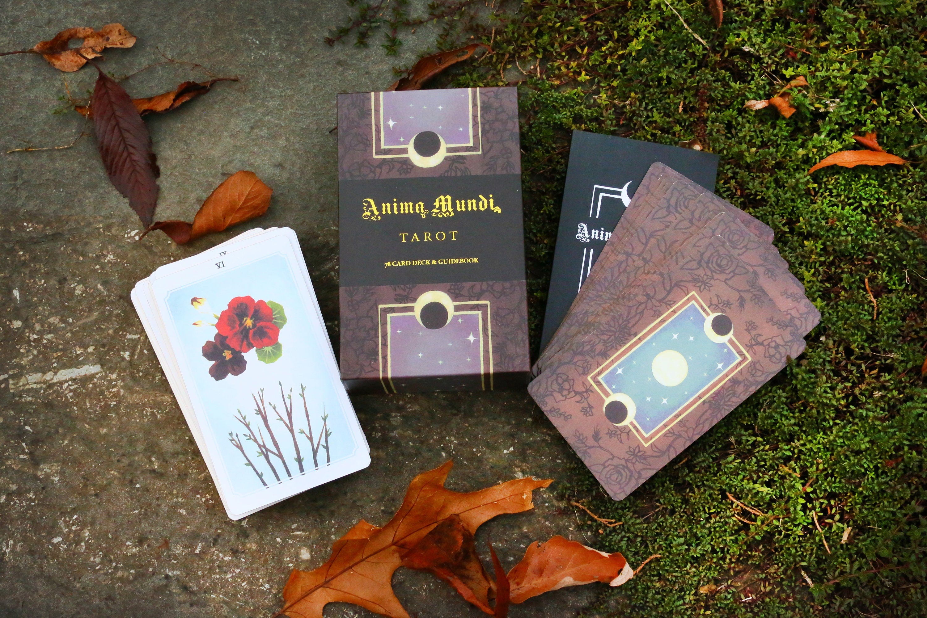 Nature, 78 Tarot Card Divination Set that Celebrates the Natural World, Beautifully Boxed, Includes Guidebook